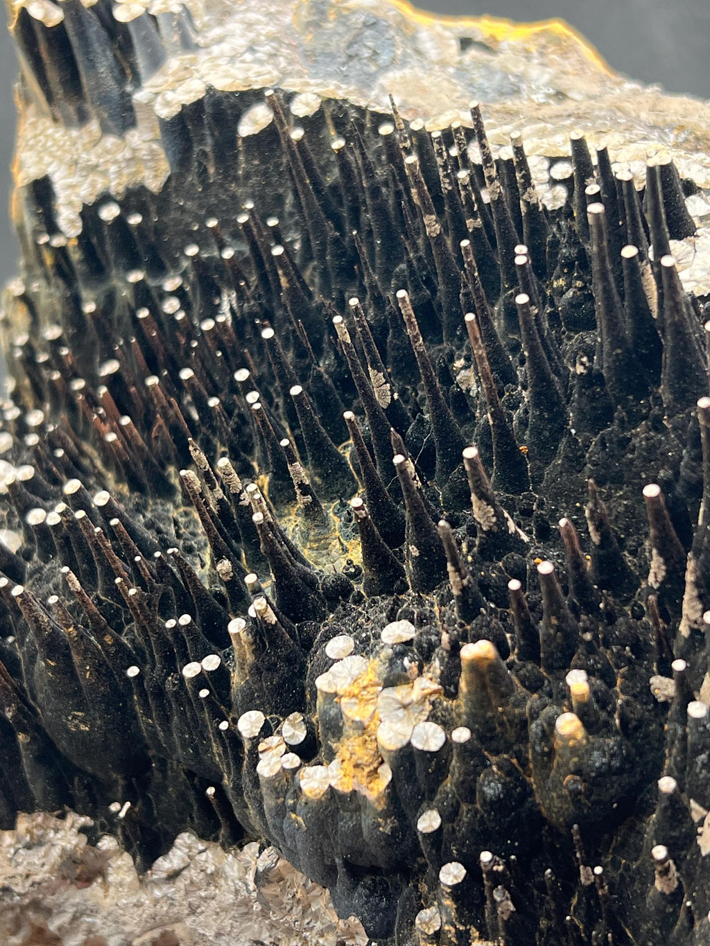 Museum Grade Limonite On Stalactite Goethite - Crystal Gemstone AE 