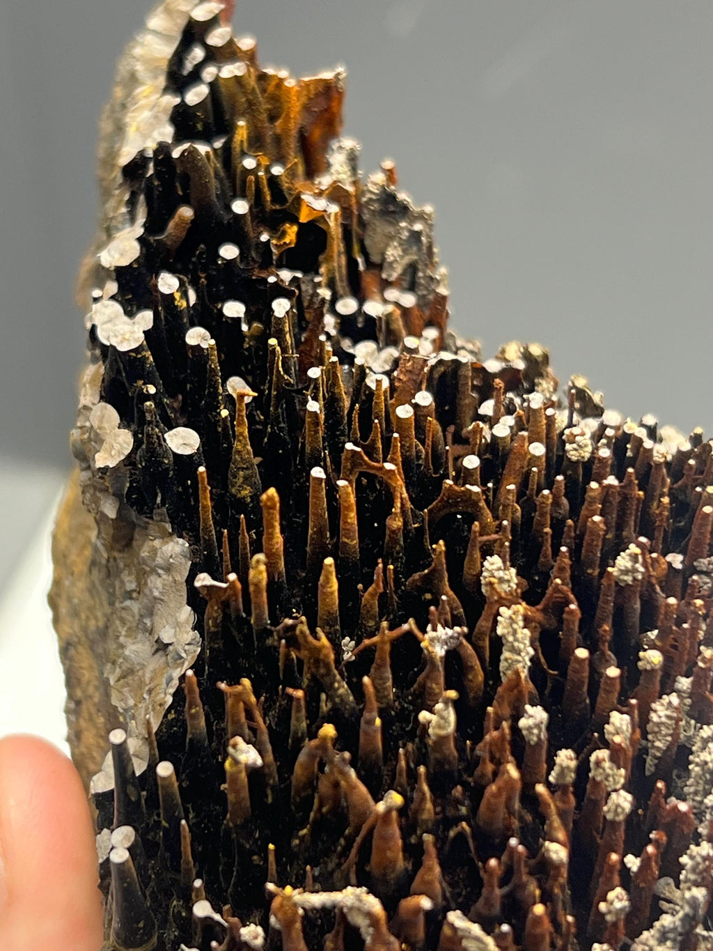 Museum quality, Very showy limonite and specularite with stalactite Goethite, special collections piece - Crystal Gemstone AE 