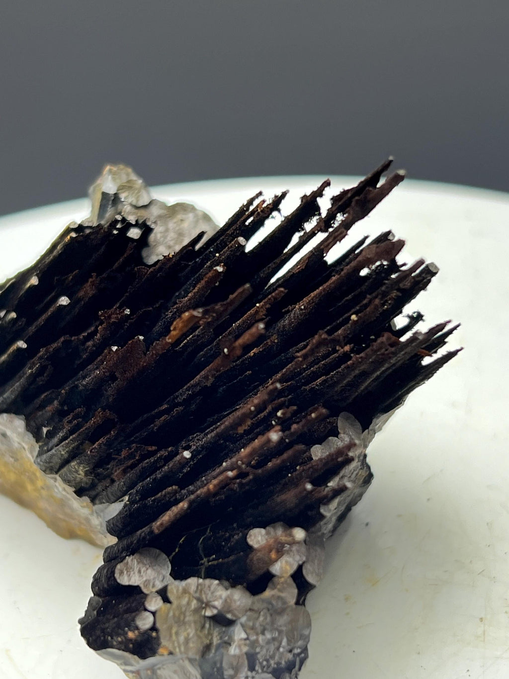 Very Showy, Limonite With Stalactite Goethite Specimen - Crystal Gemstone AE 