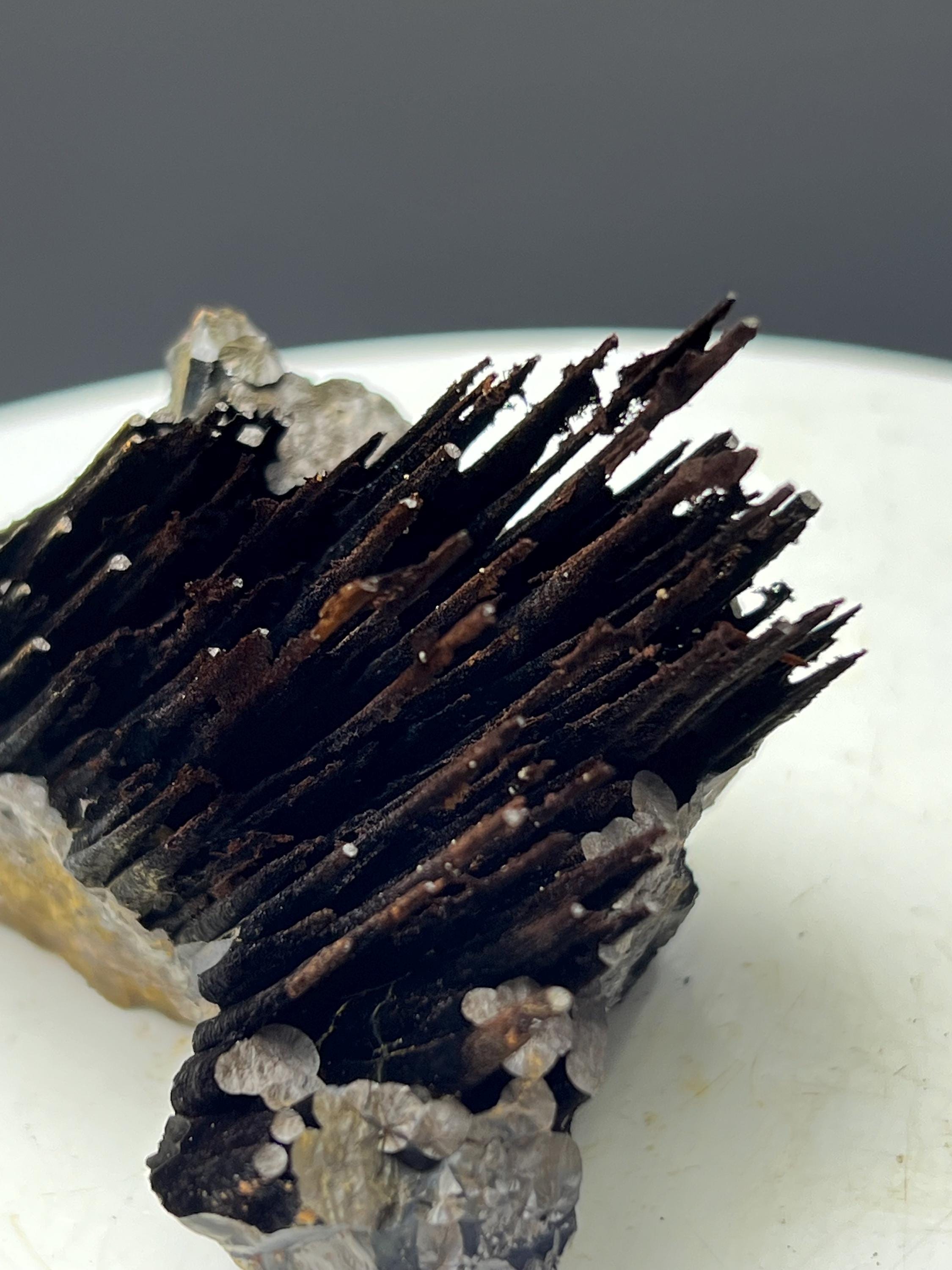 Very Showy, Limonite With Stalactite Goethite Specimen - Crystal Gemstone AE 