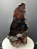 Museum Grade, Very Special Limonite And Specularite With Stalactite Goethite, For Special Collections - Crystal Gemstone AE 