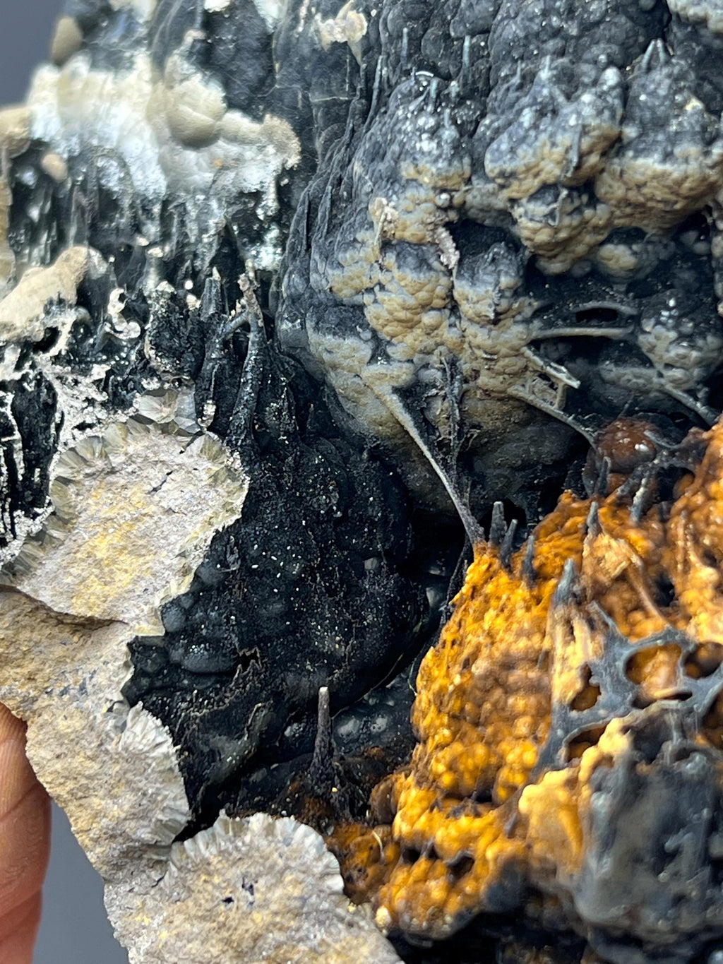 Museum Grade Limonite With Spider Web Formation Stalactite Goethite - Crystal Gemstone AE 