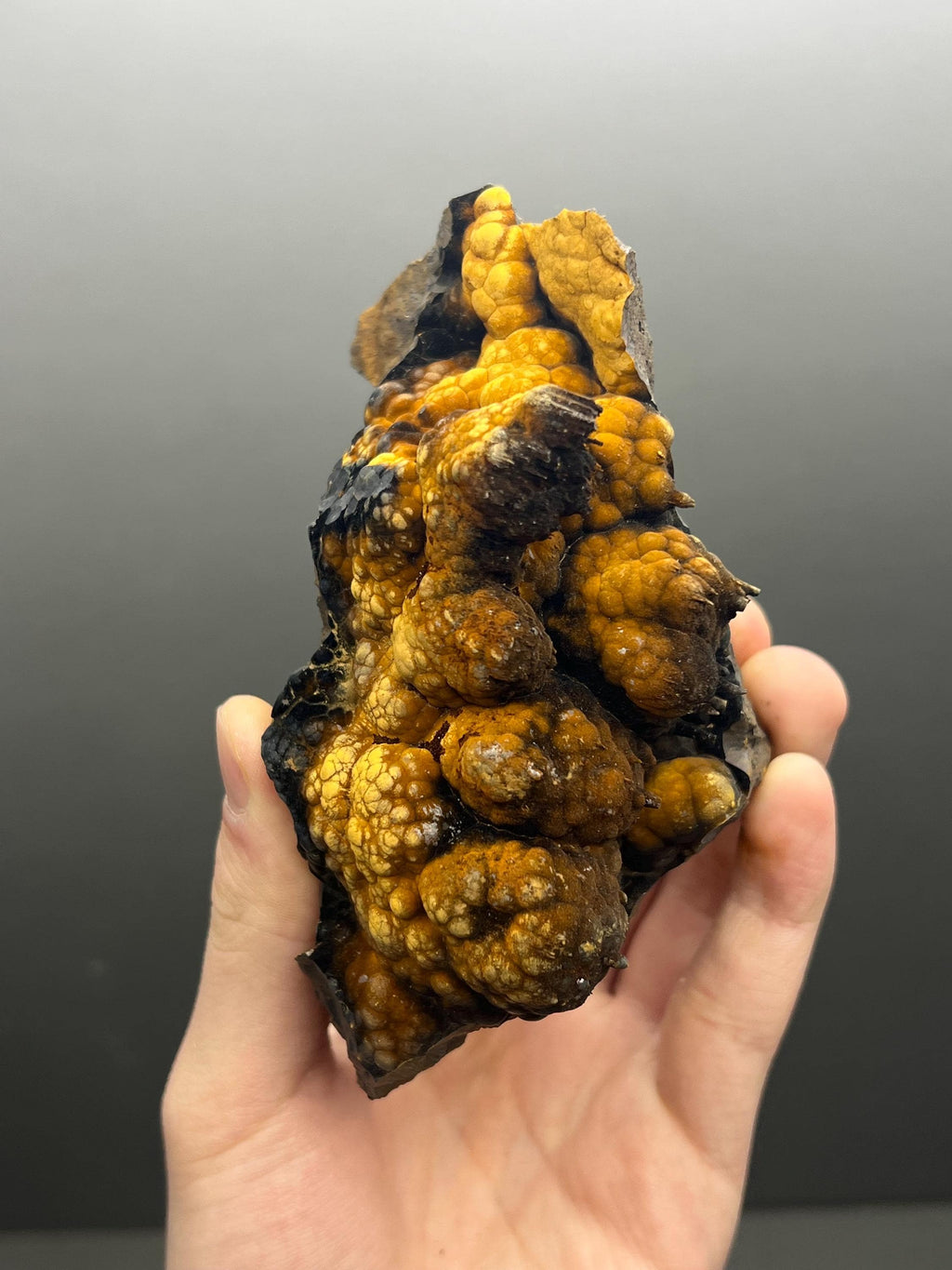 High Grade Limonite On Botryoidal Goethite With Stalactites - Crystal Gemstone AE 