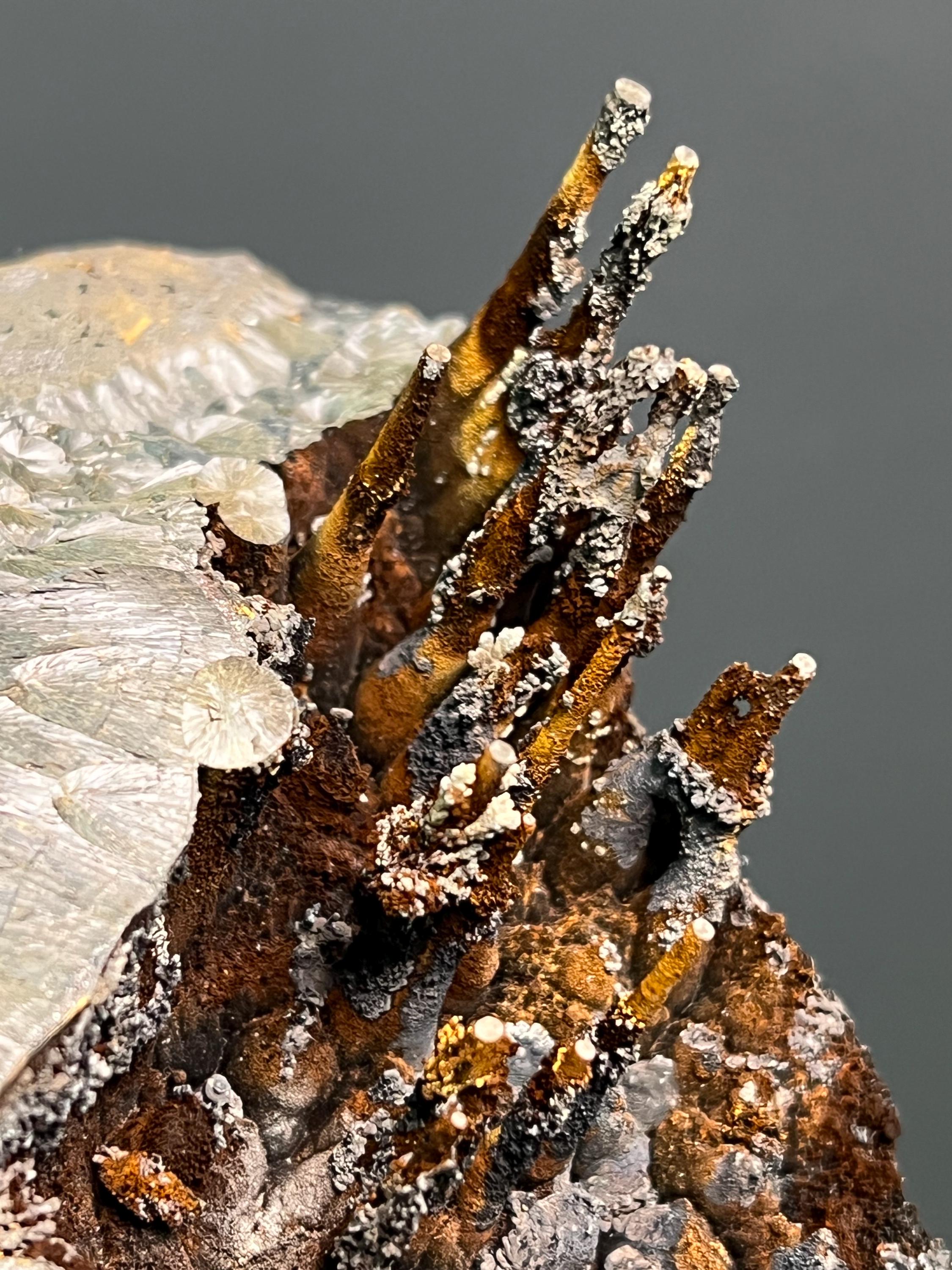 Museum Grade Specularite And Limonite On Stalactite Goethite - Crystal Gemstone AE 