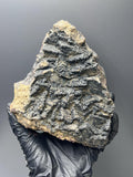 Very Special, Goethite With Black Iron Siderite - Crystal Gemstone AE 