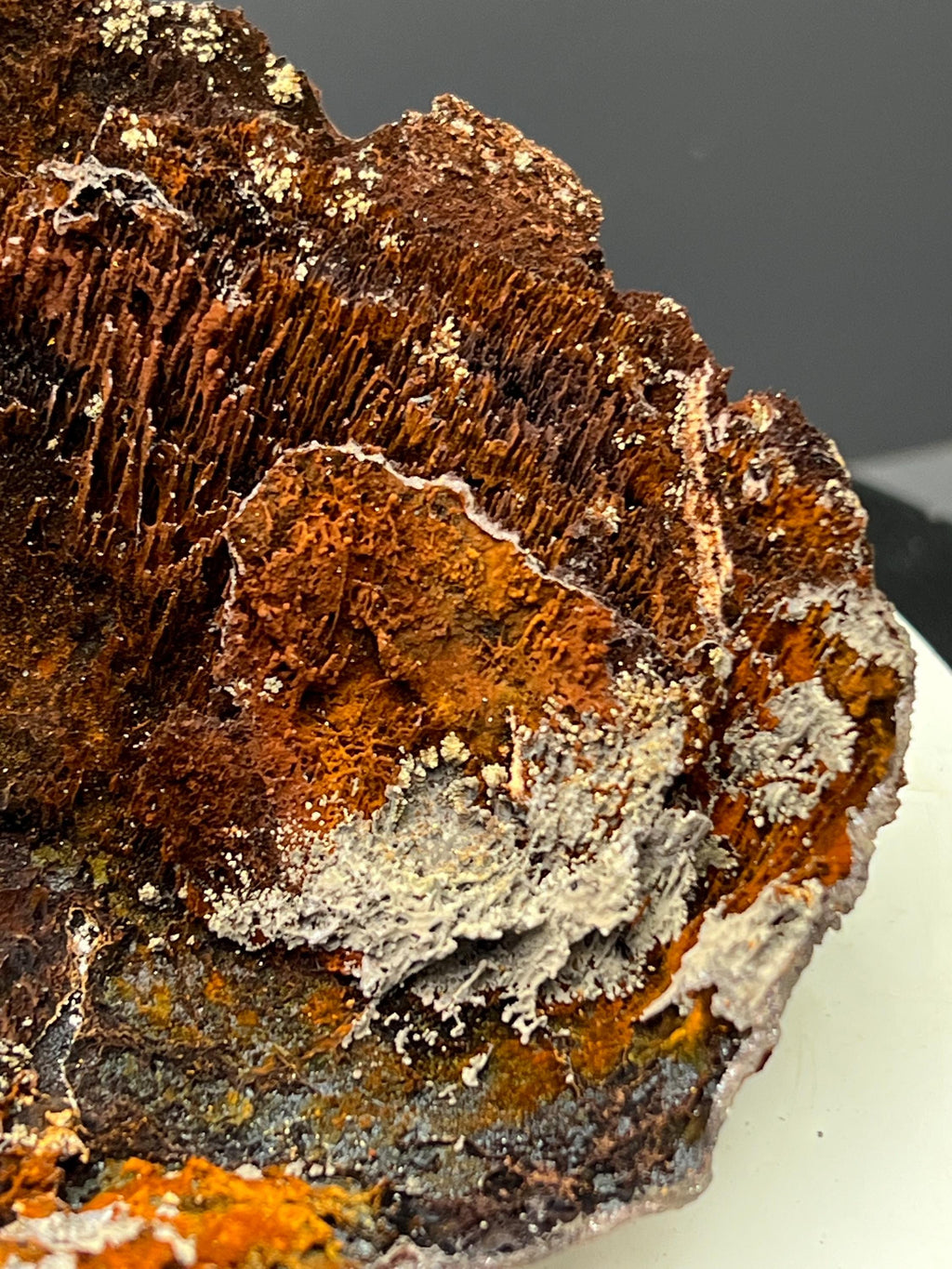 Museum Grade! Showy Limonite And Specularite With Stalactite Goethite Specimen - Crystal Gemstone AE 