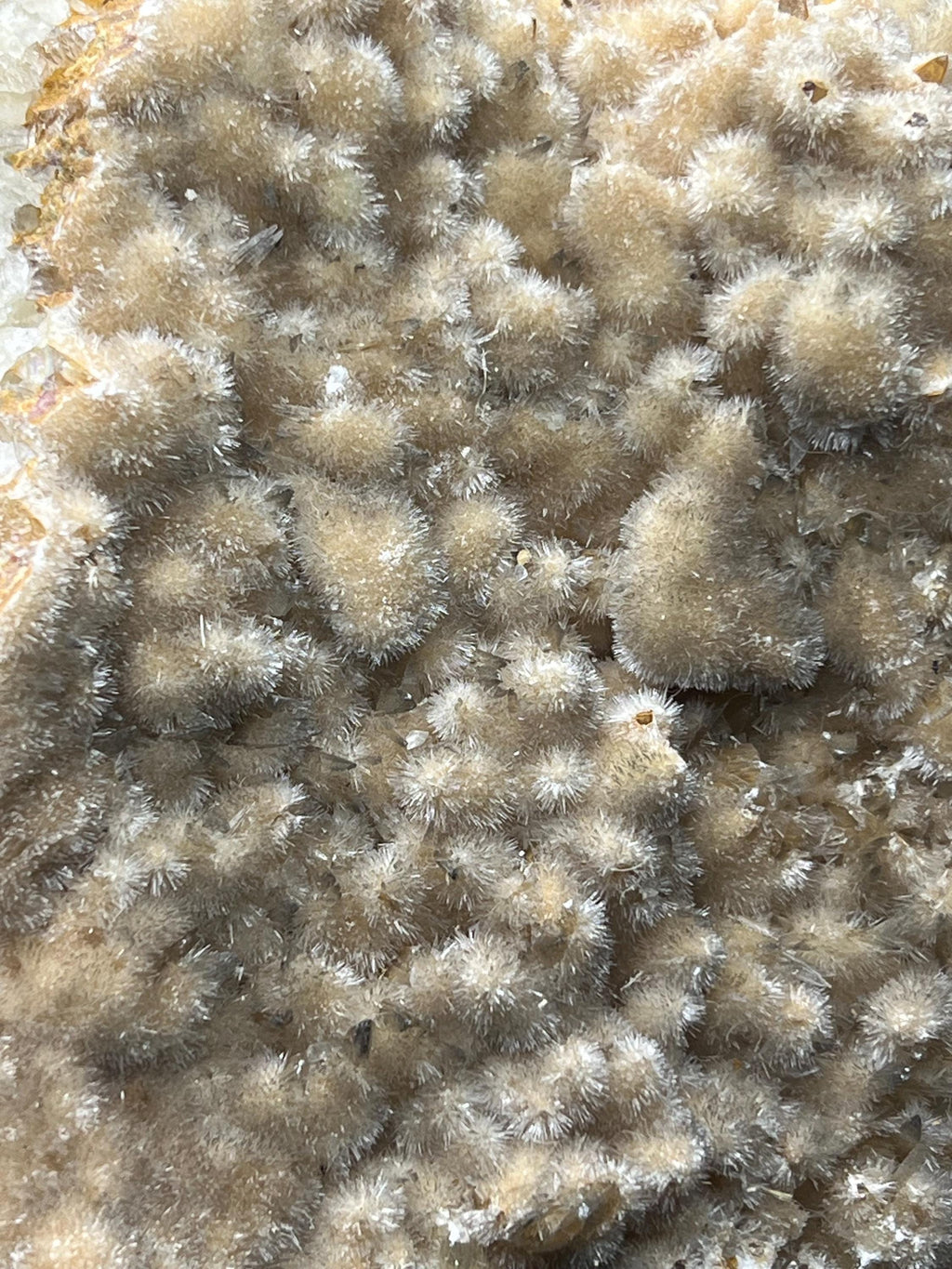 Feather Crystal Calcite Specimen - Crystal Gemstone AE 