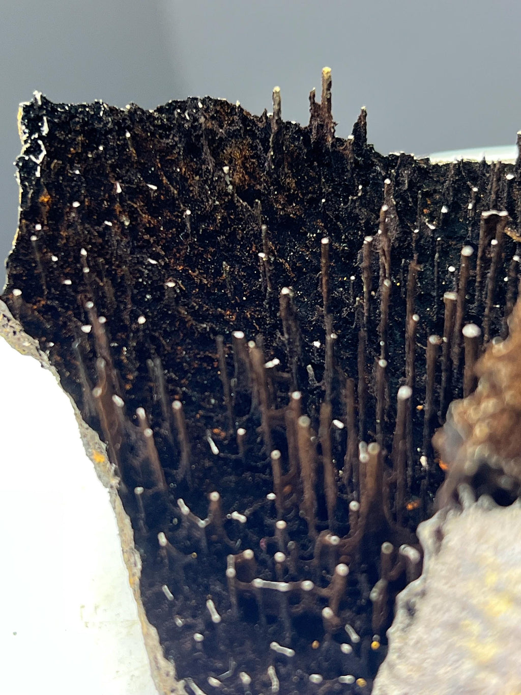 Very Special Formation Limonite With Stalactite Goethite Specimen, For Special Collection - Crystal Gemstone AE 