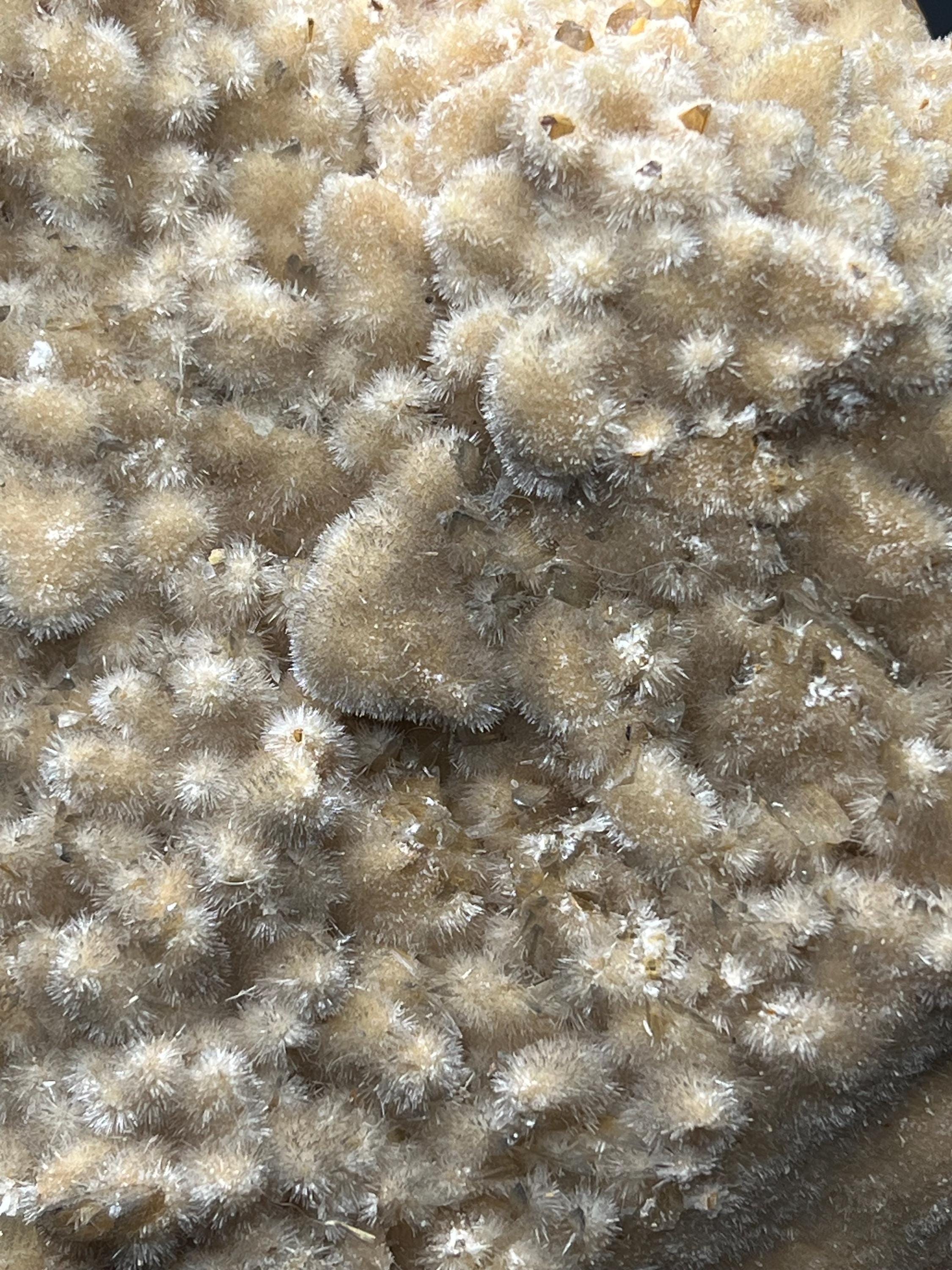 Feather Crystal Calcite Specimen - Crystal Gemstone AE 