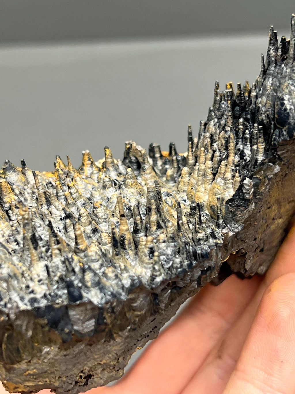 Limonite And Specularite On Stalactite Goethite - Crystal Gemstone AE 