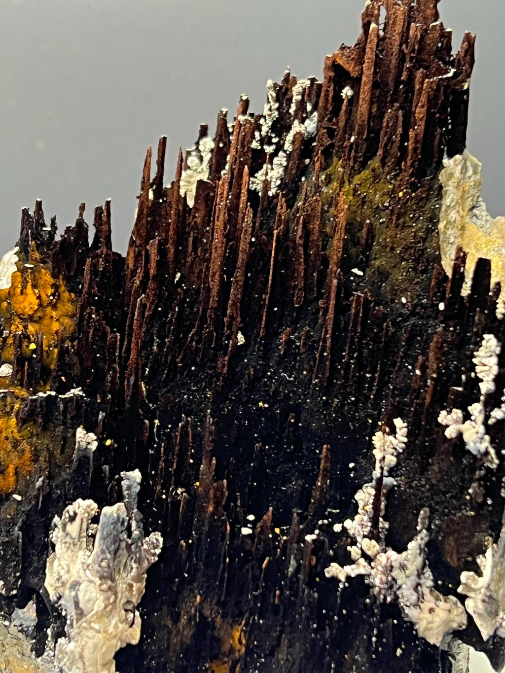 Very Showy Limonite And Specularite With Stalactite Goethite Specimen, For Special Collection - Crystal Gemstone AE 