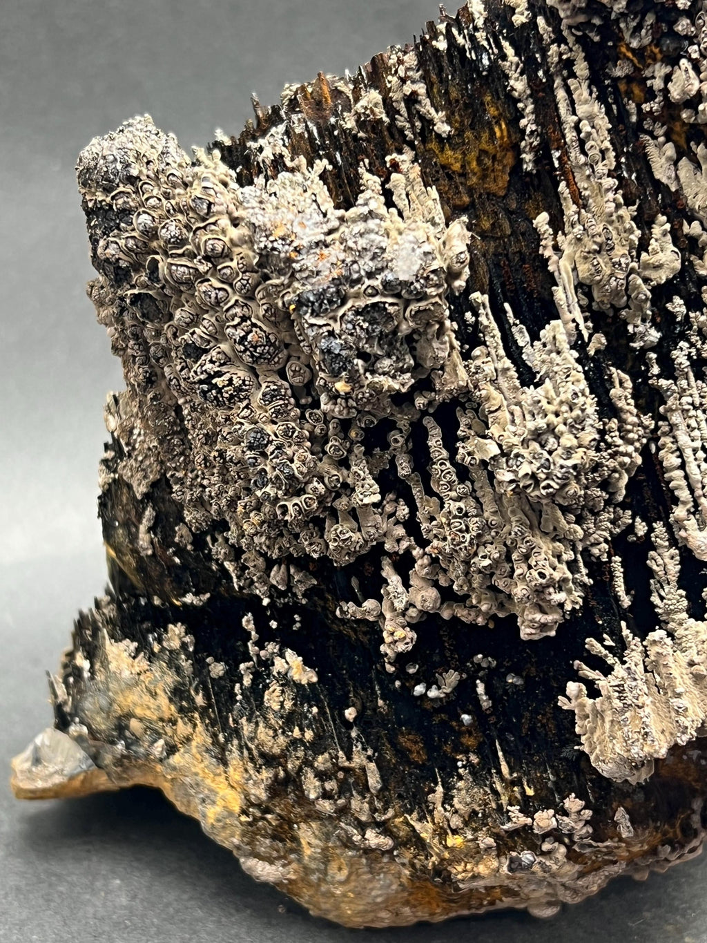 Specularite And Limonite With Stalactite Goethite - Crystal Gemstone AE 