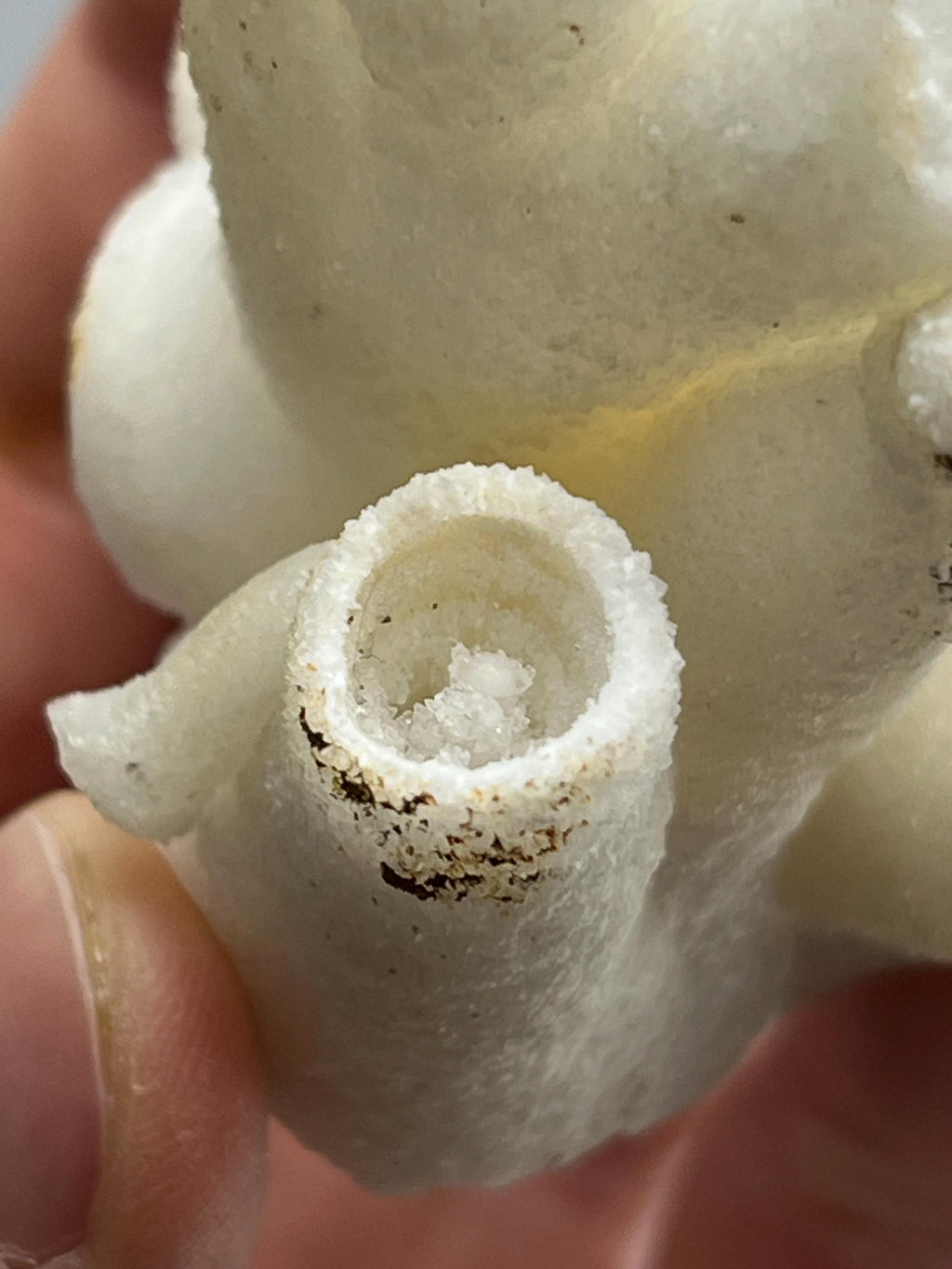 Special Formed Very Showy Stalactite Aragonite Craters, From Turkey - Crystal Gemstone AE 