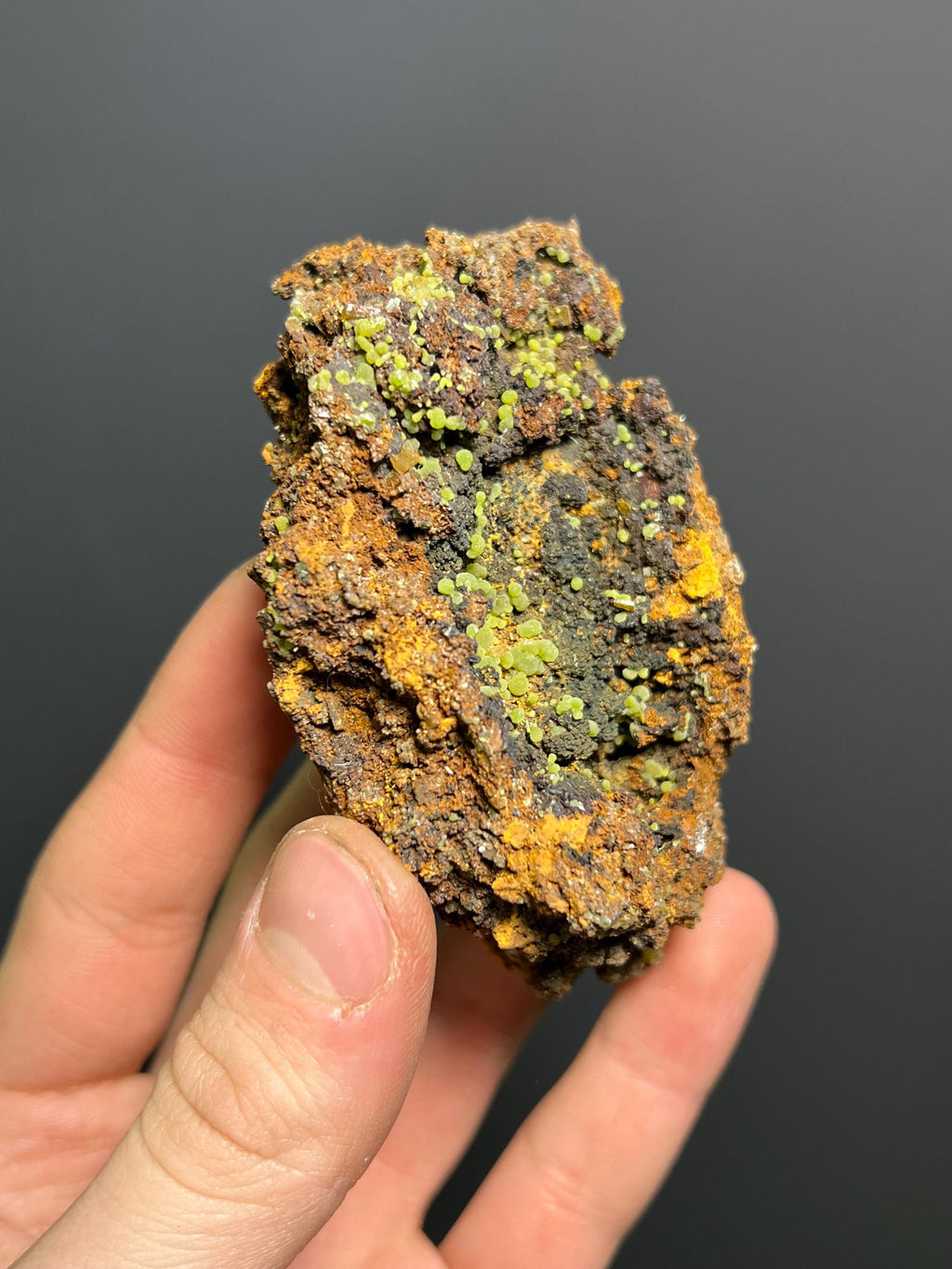 Mexican Mimetite Specimen – Botryoidal Mineral, Honey-Yellow Crystals - Crystal Gemstone AE 