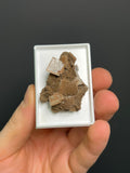 Mangano Apophyllite Specimen: Pink Crystals from South Africa - Crystal Gemstone AE 