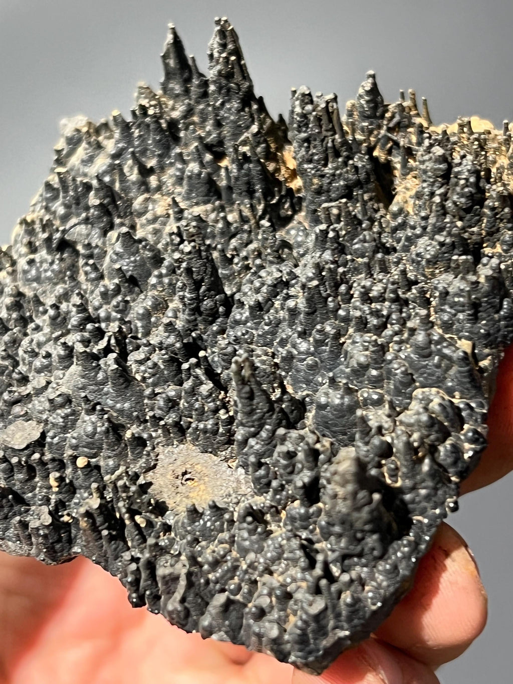 Museum Quality Showy Stalactite Goethite - Crystal Gemstone AE 