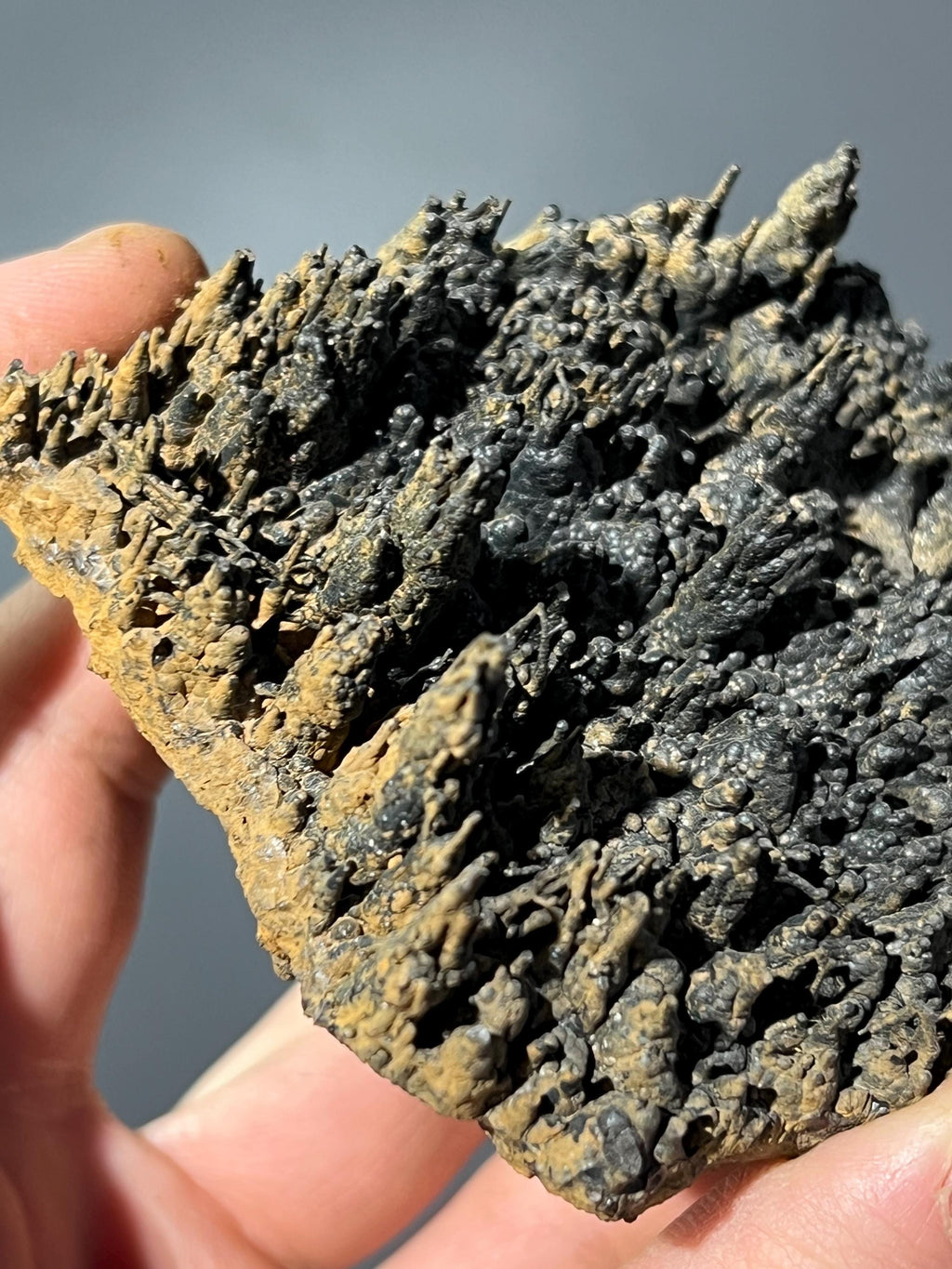 Museum Quality Showy Stalactite Goethite - Crystal Gemstone AE 