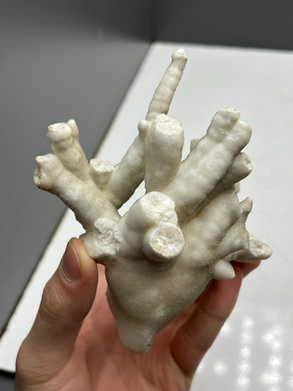 Very Showy Stalactite Aragonite Mineral, From Turkey - Crystal Gemstone AE 