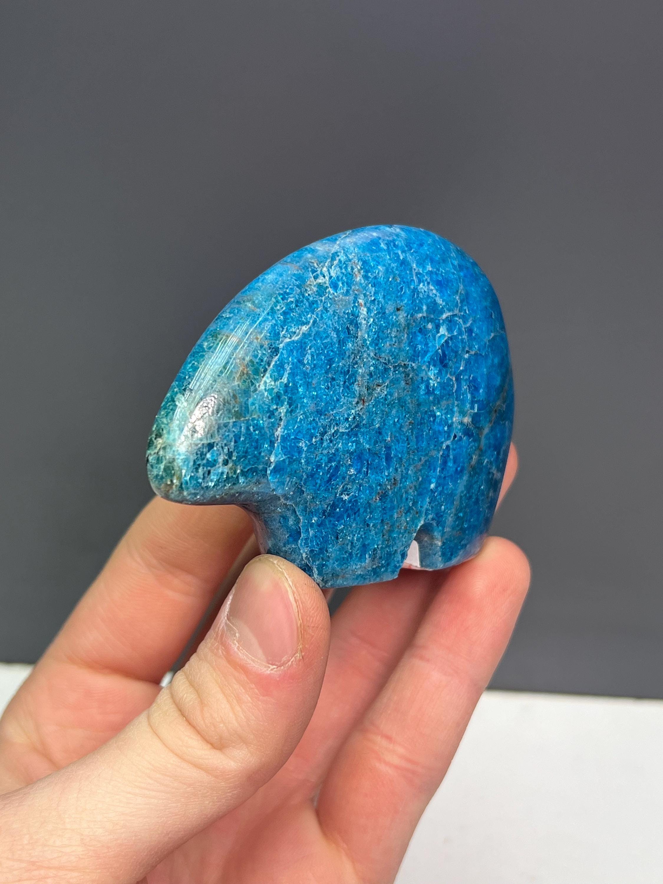 Blue Apatite Bear Totem - Crystal Gemstone AE 