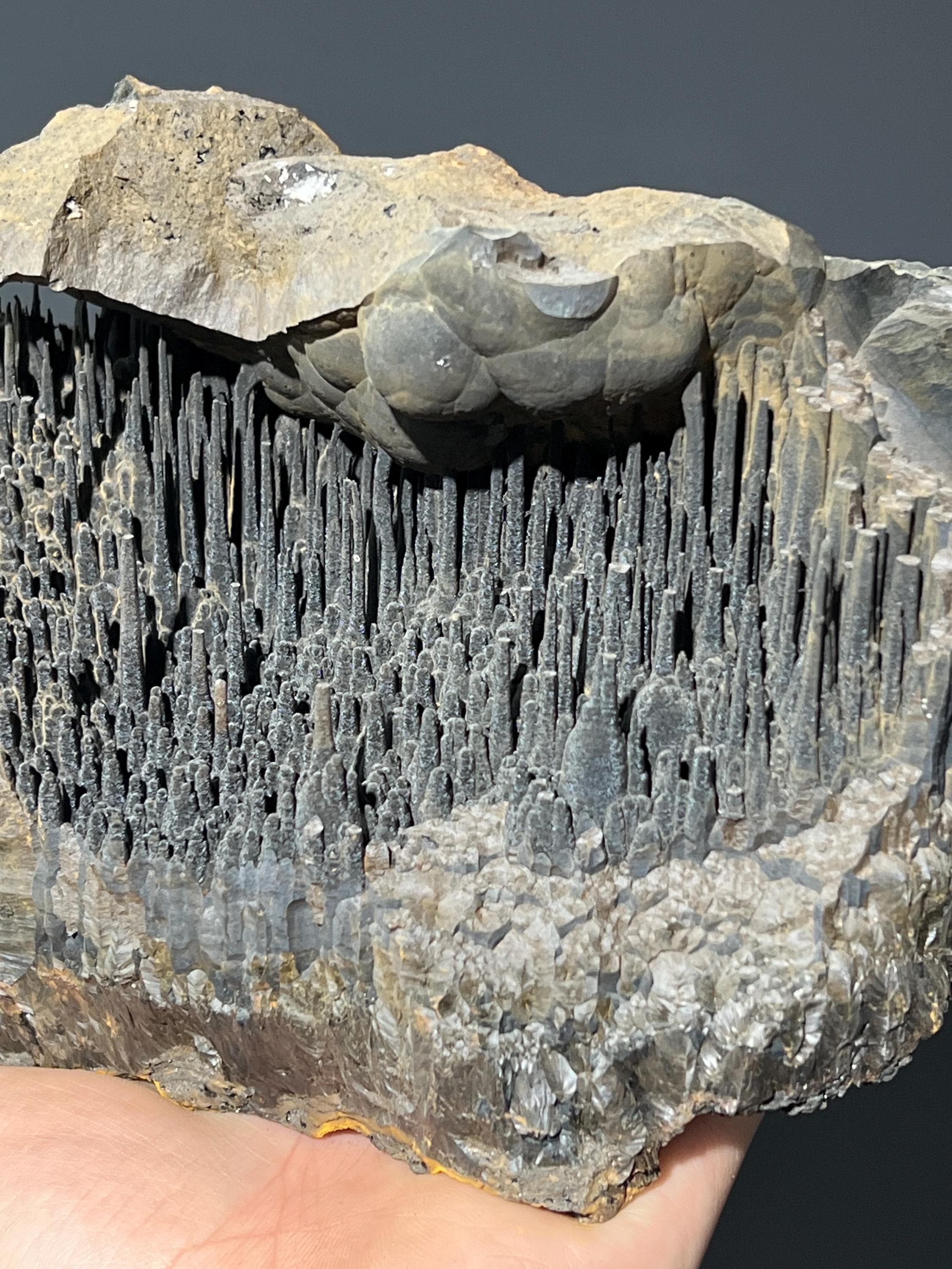 Museum Quality Stalactite Goethite - Crystal Gemstone AE 