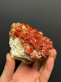 Vanadinite Specimen - Morocco - Crystal Gemstone AE 