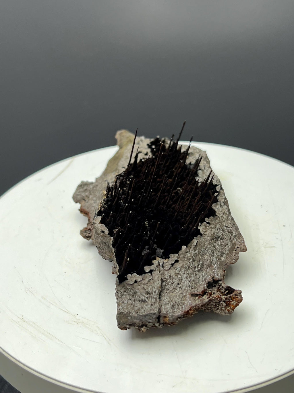 Museum Grade, Limonite With Stalactite Forest Goethite, For Special Collection - Crystal Gemstone AE 