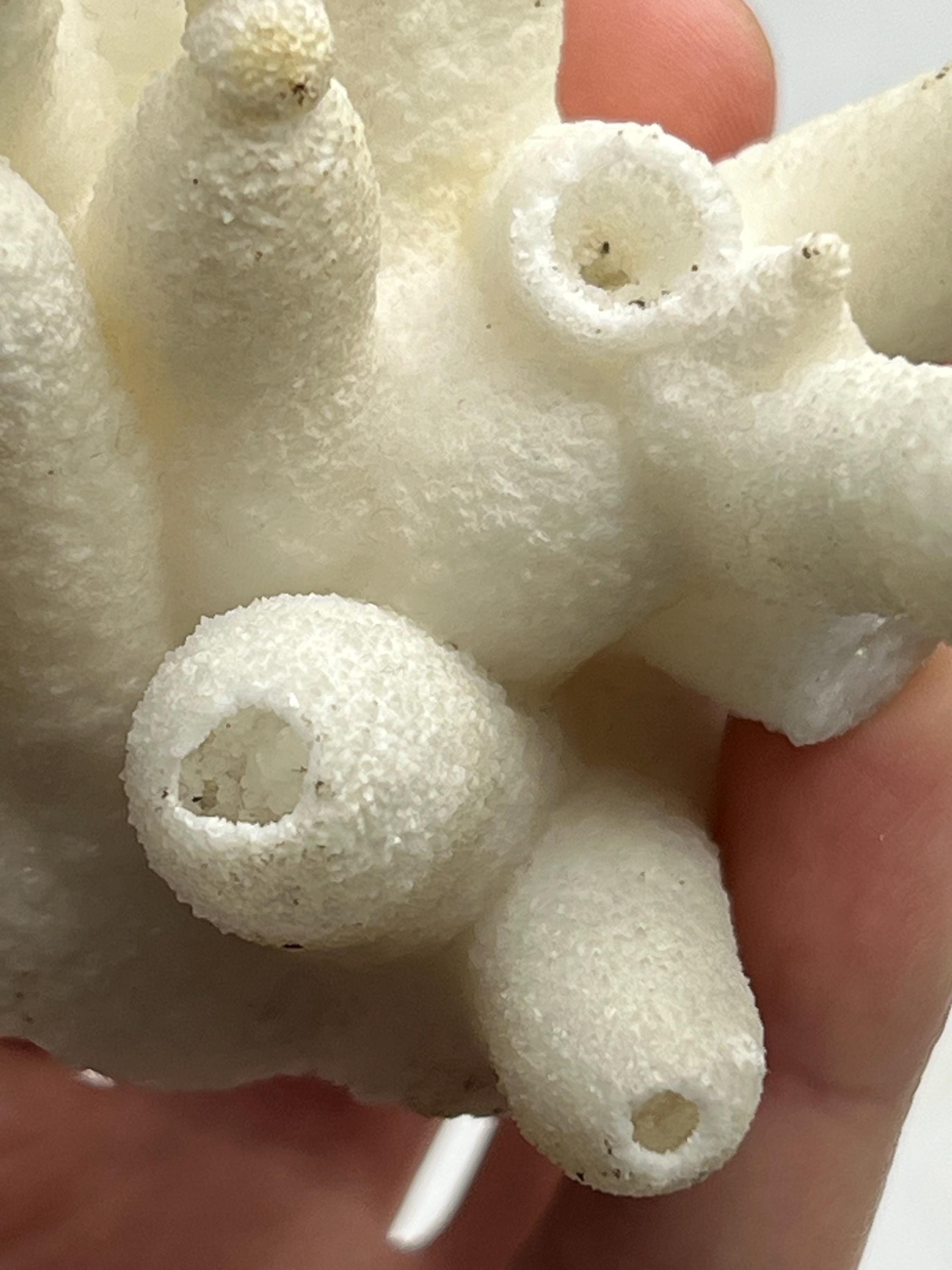 Special Formed Very Showy Stalactite Aragonite Craters, From Turkey - Crystal Gemstone AE 