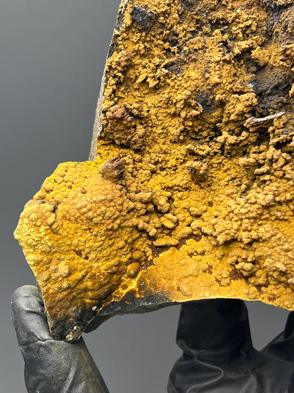 Museum Quality, Very Showy Special Limonite With Small Stalactites Goethite Specimen - Crystal Gemstone AE 