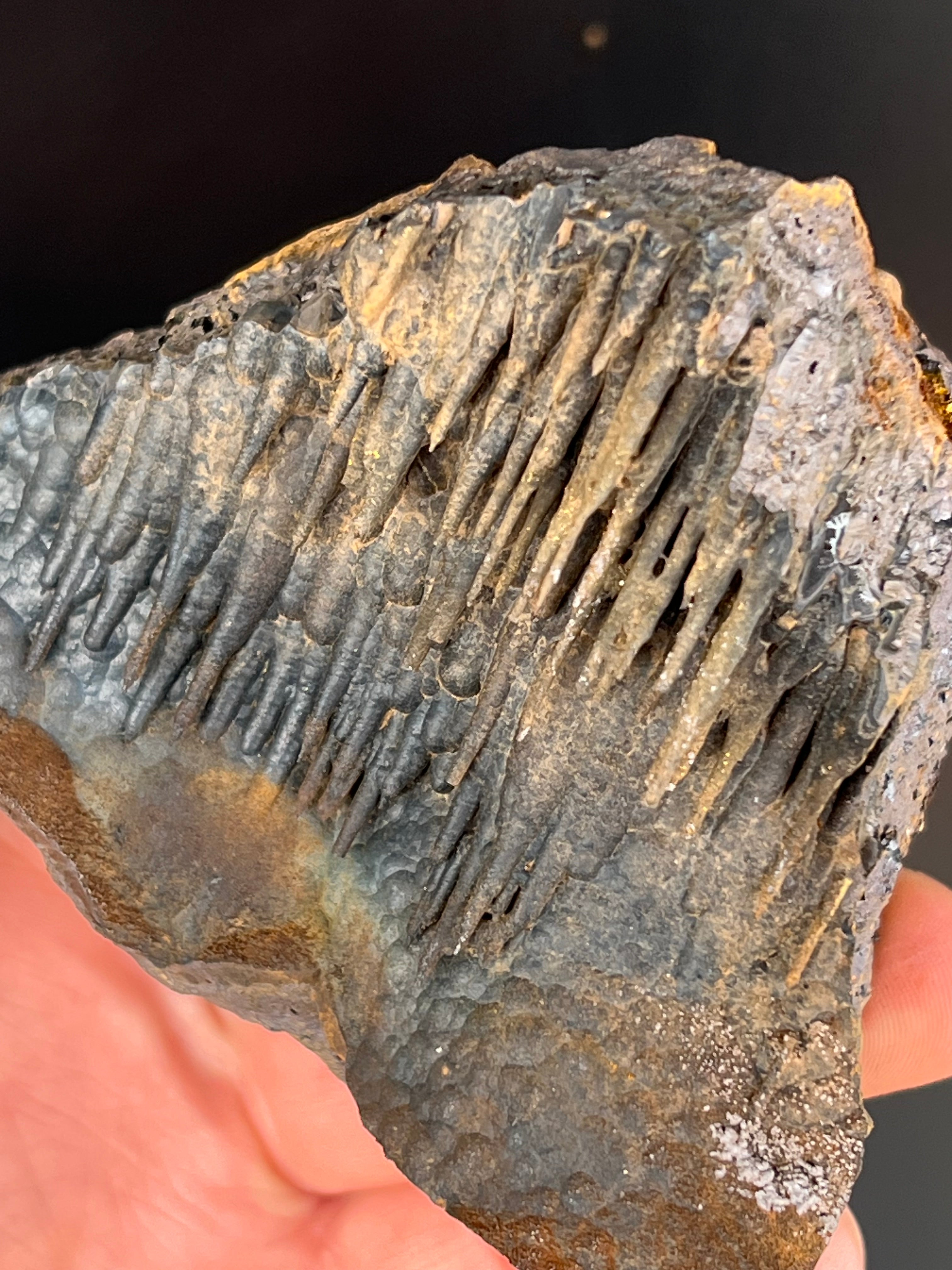 Museum Grade Limonite With Stalactite Goethite