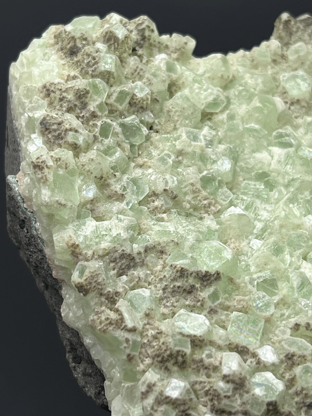 Indian Apophyllite Specimen: "Bringer of Light" Crystal - Crystal Gemstone AE 
