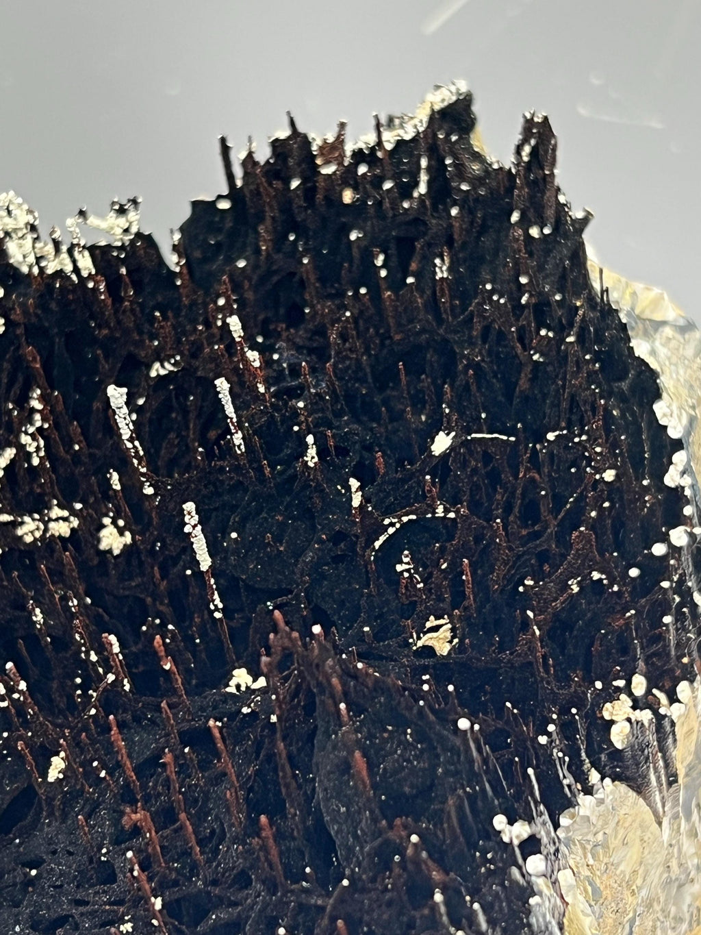 Rare Find! Limonite And Specularite On Stalactite Hematite - Crystal Gemstone AE 