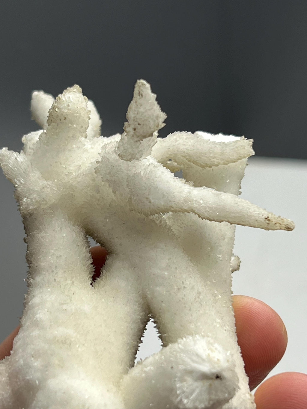 Special Formed 2 Sided Stalactite Aragonite Mineral, From Turkey - Crystal Gemstone AE 