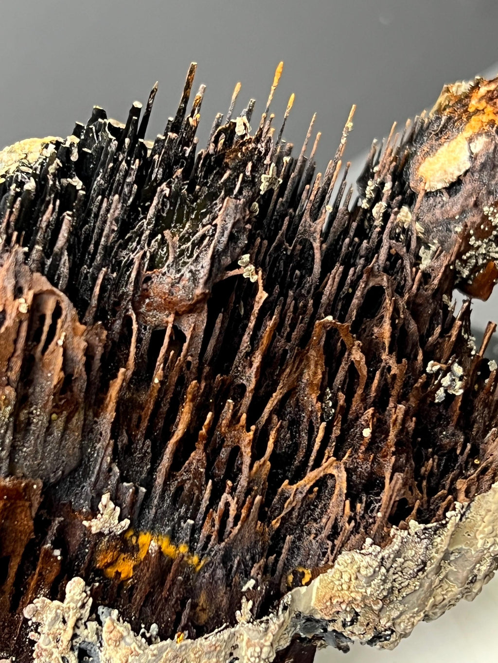Museum Grade! Very Showy Limonite And Specularite With Stalactite Bridges Goethite Specimen - Crystal Gemstone AE 