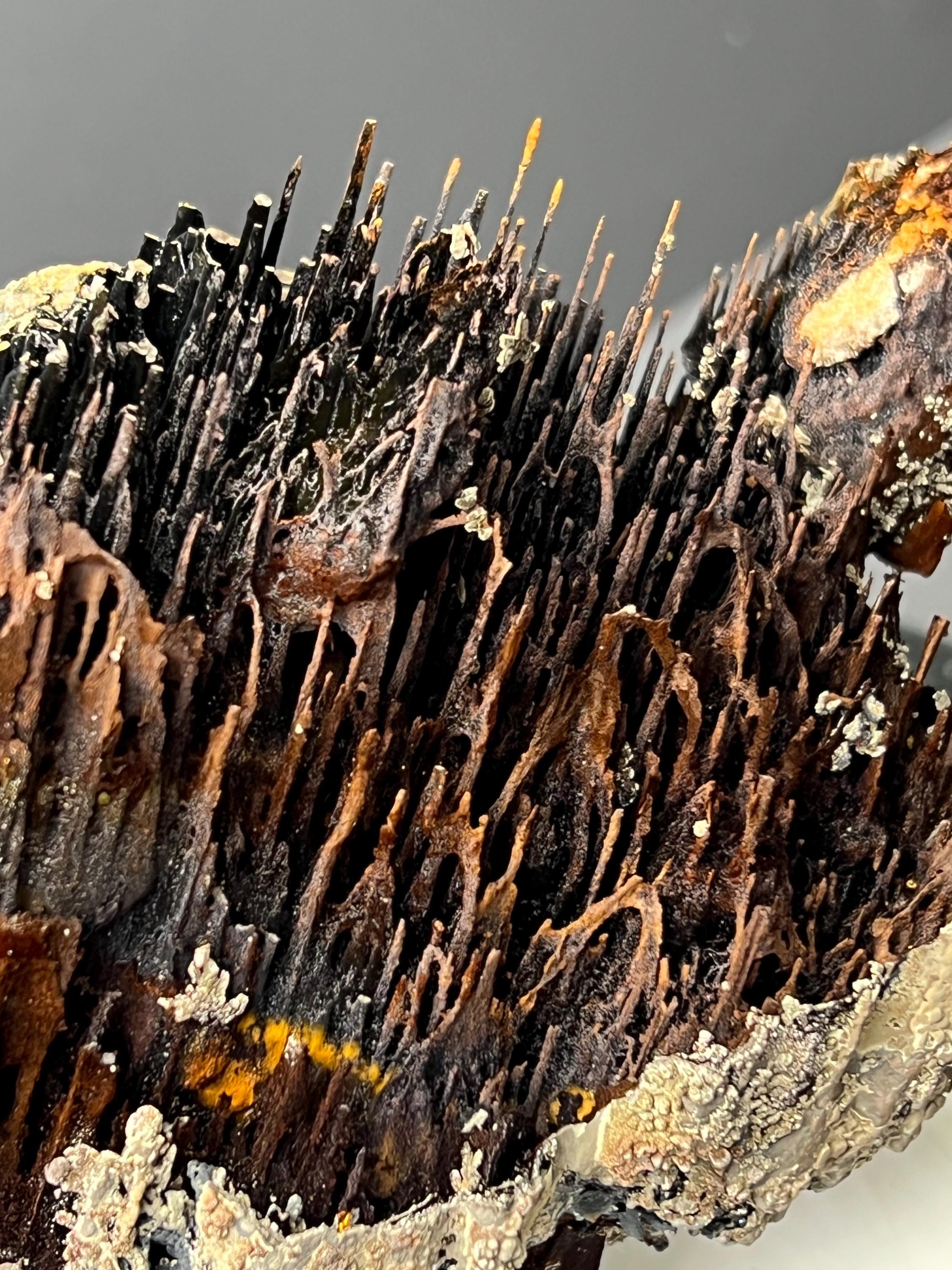 Museum Grade! Very Showy Limonite And Specularite With Stalactite Bridges Goethite Specimen - Crystal Gemstone AE 
