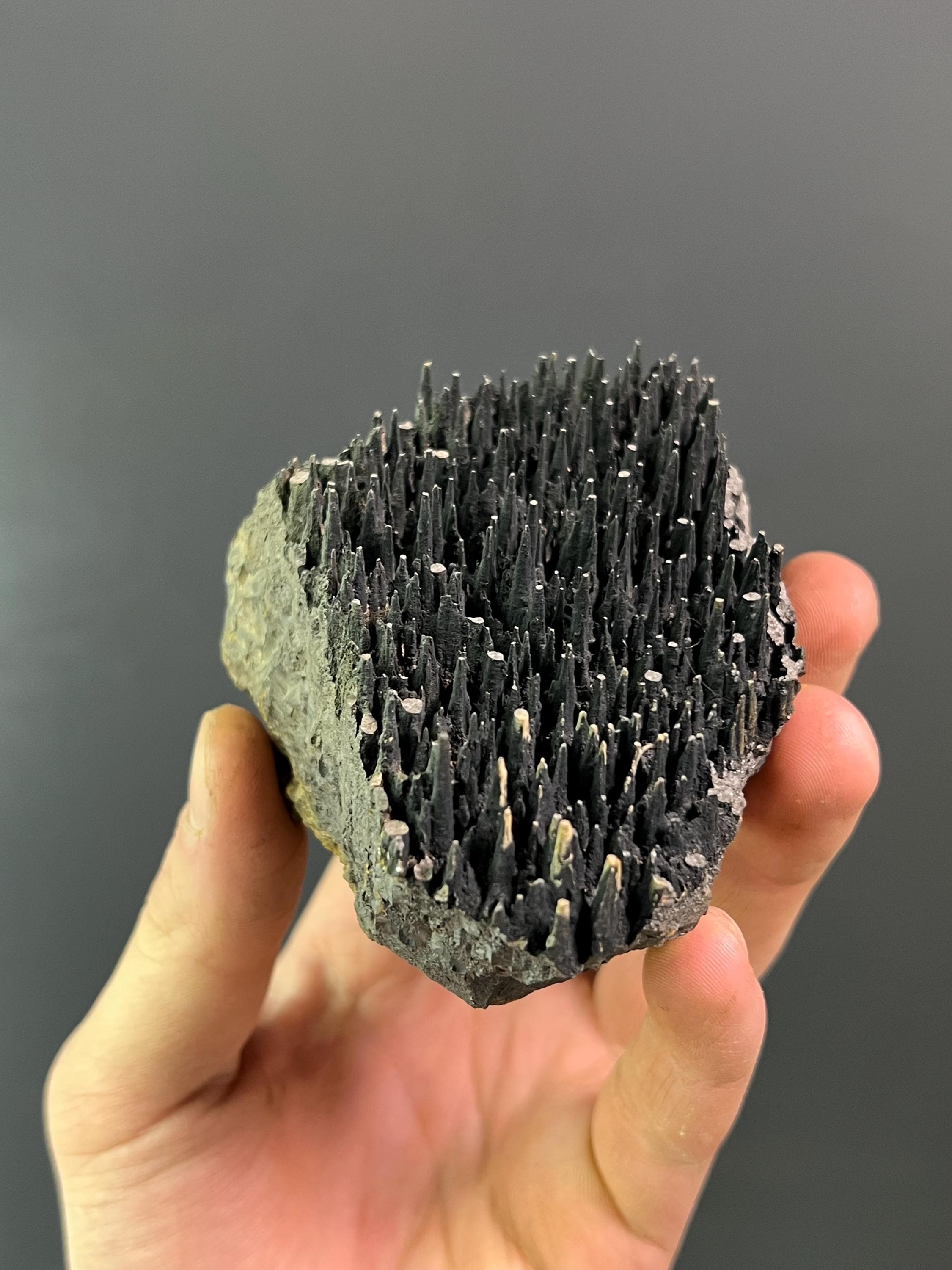 Museum Quality Forest Stalactite Goethite - Crystal Gemstone AE 