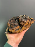 Museum Grade Limonite With Stalactite Goethite - Crystal Gemstone AE 