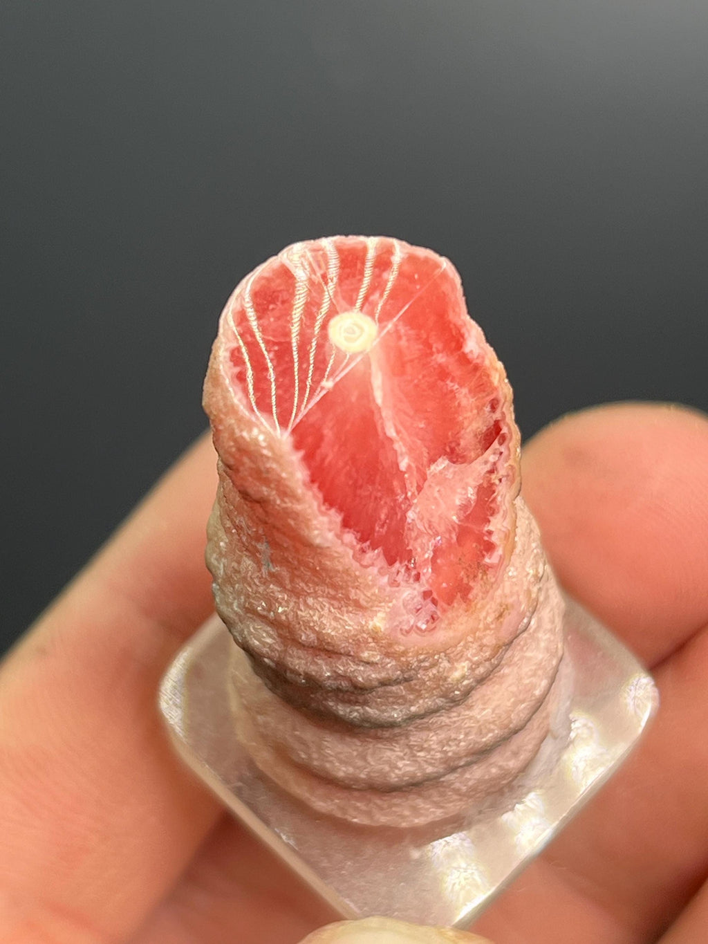 Special Rhodocrosite Specimen - Crystal Gemstone AE 