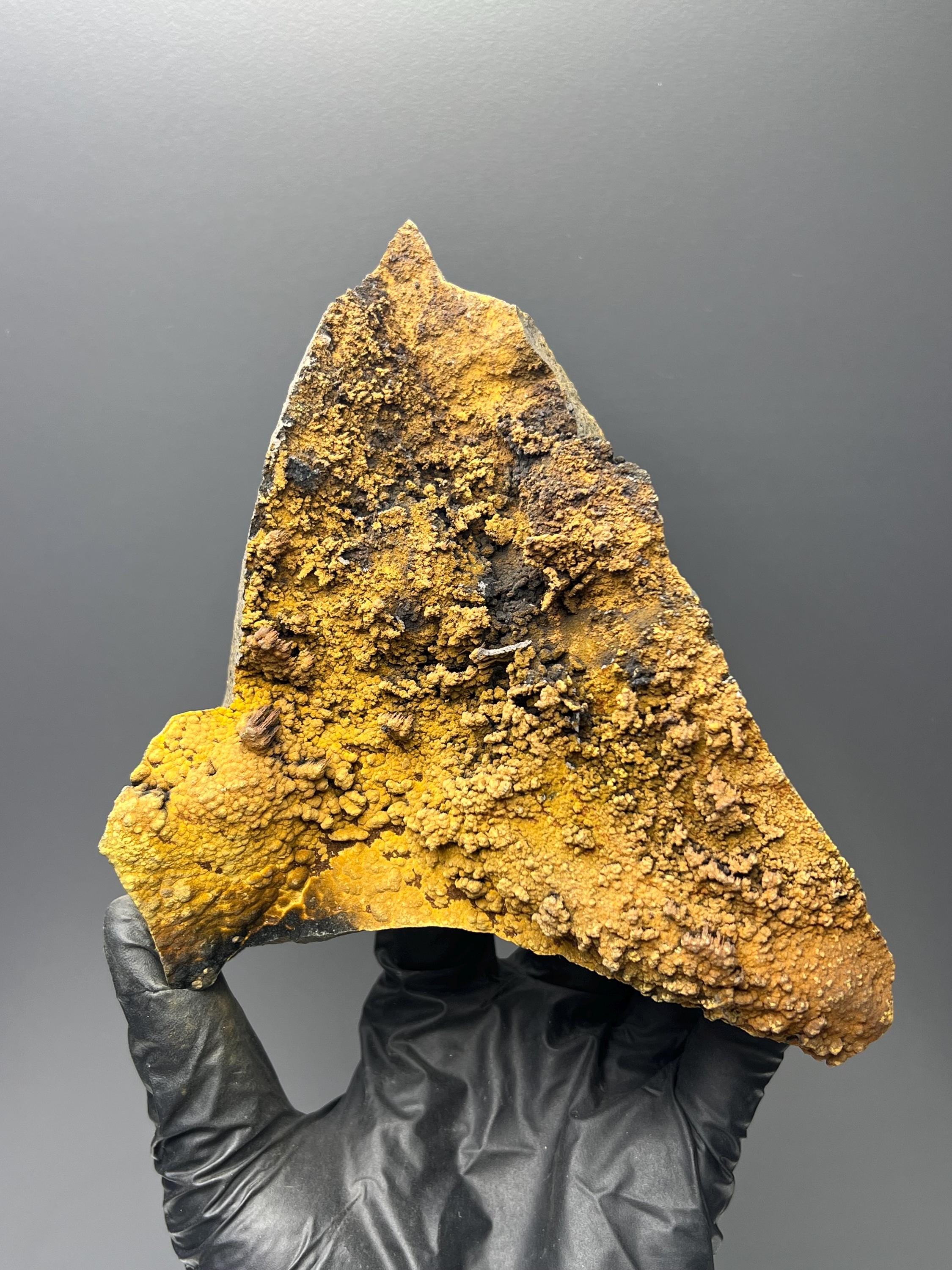 Museum Quality, Very Showy Special Limonite With Small Stalactites Goethite Specimen - Crystal Gemstone AE 