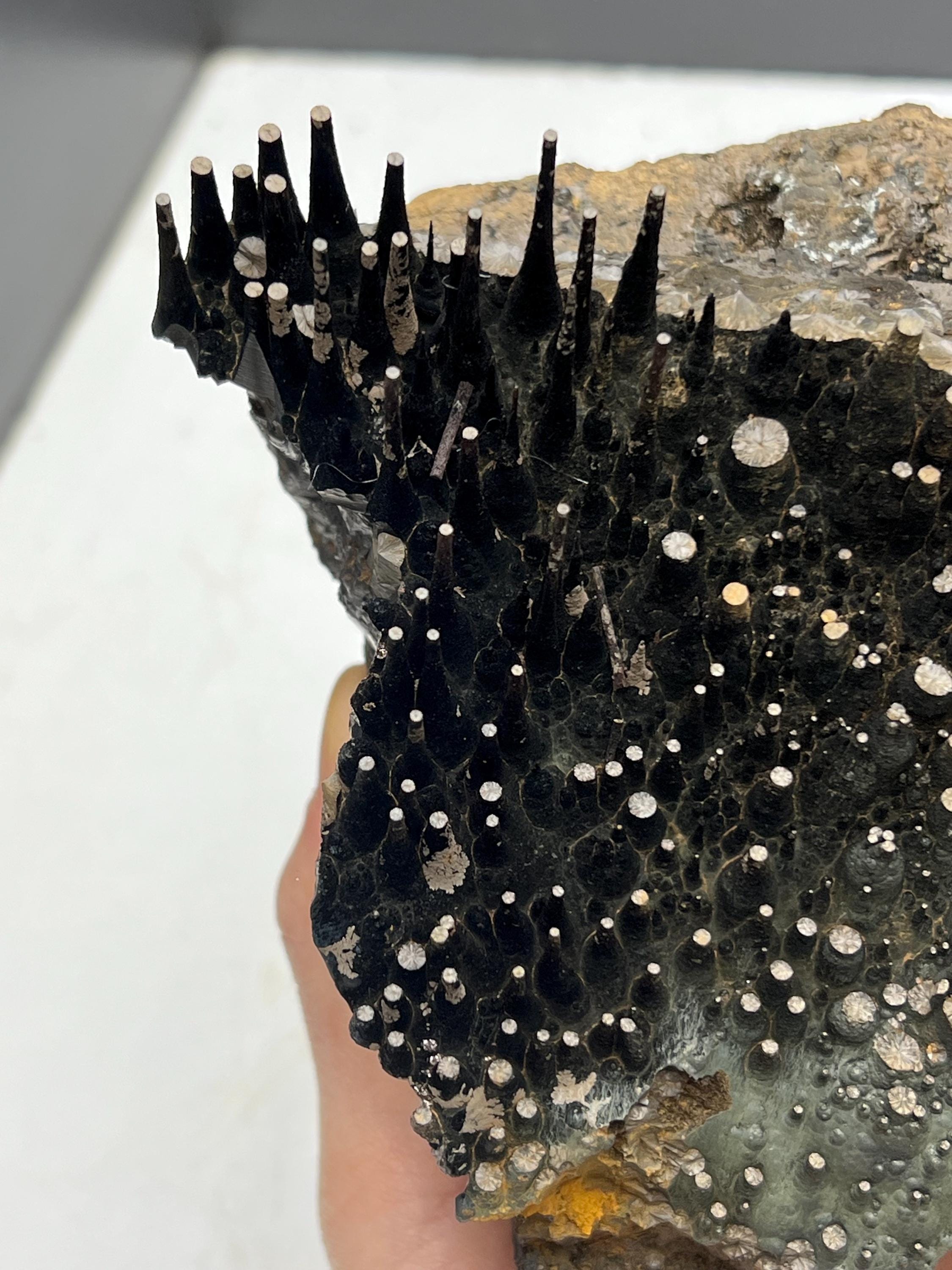 Museum quality, Very Special Extra Large stalactite Goethite, Special Collection Piece - Crystal Gemstone AE 