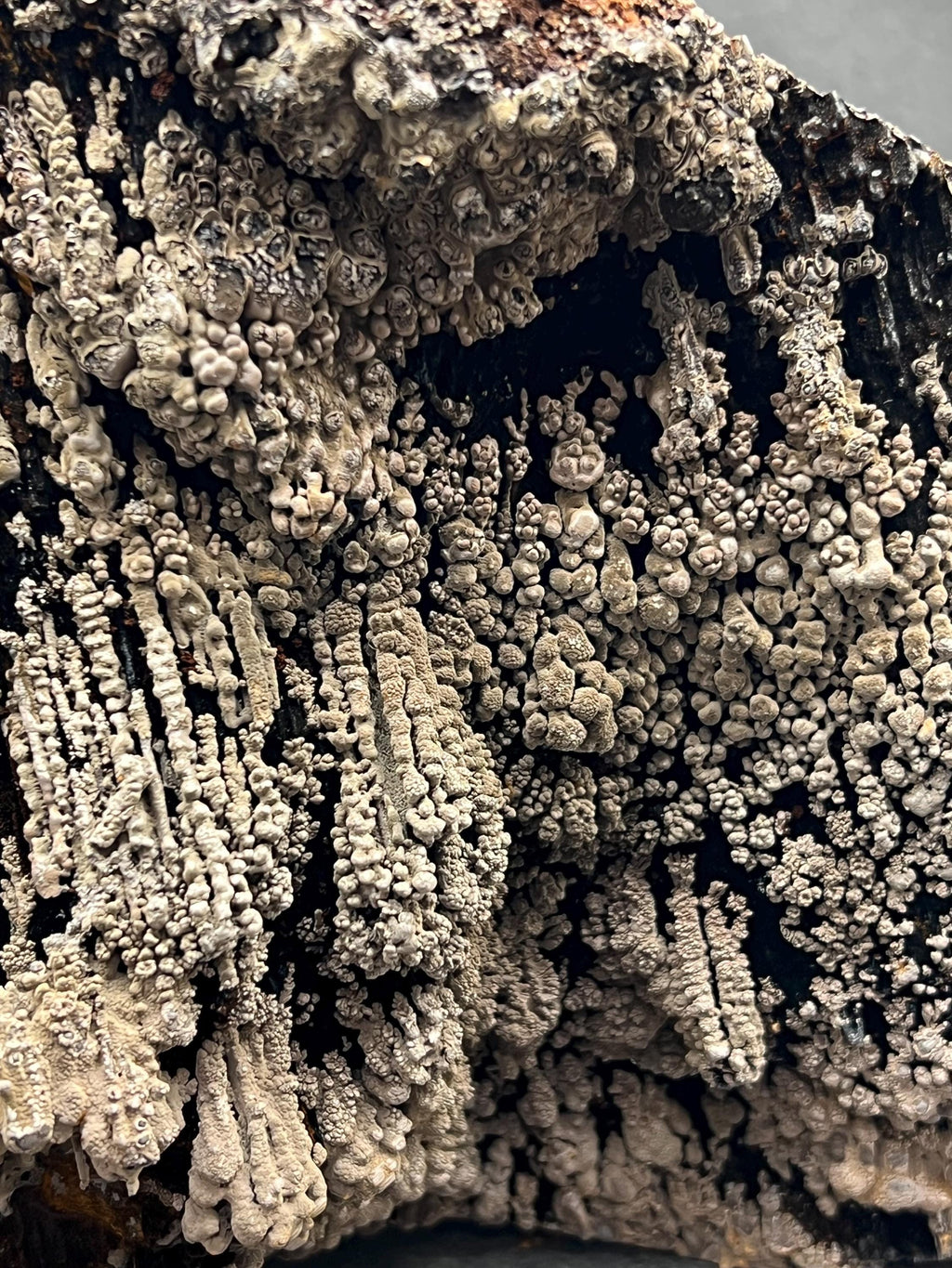 Specularite And Limonite With Stalactite Goethite - Crystal Gemstone AE 