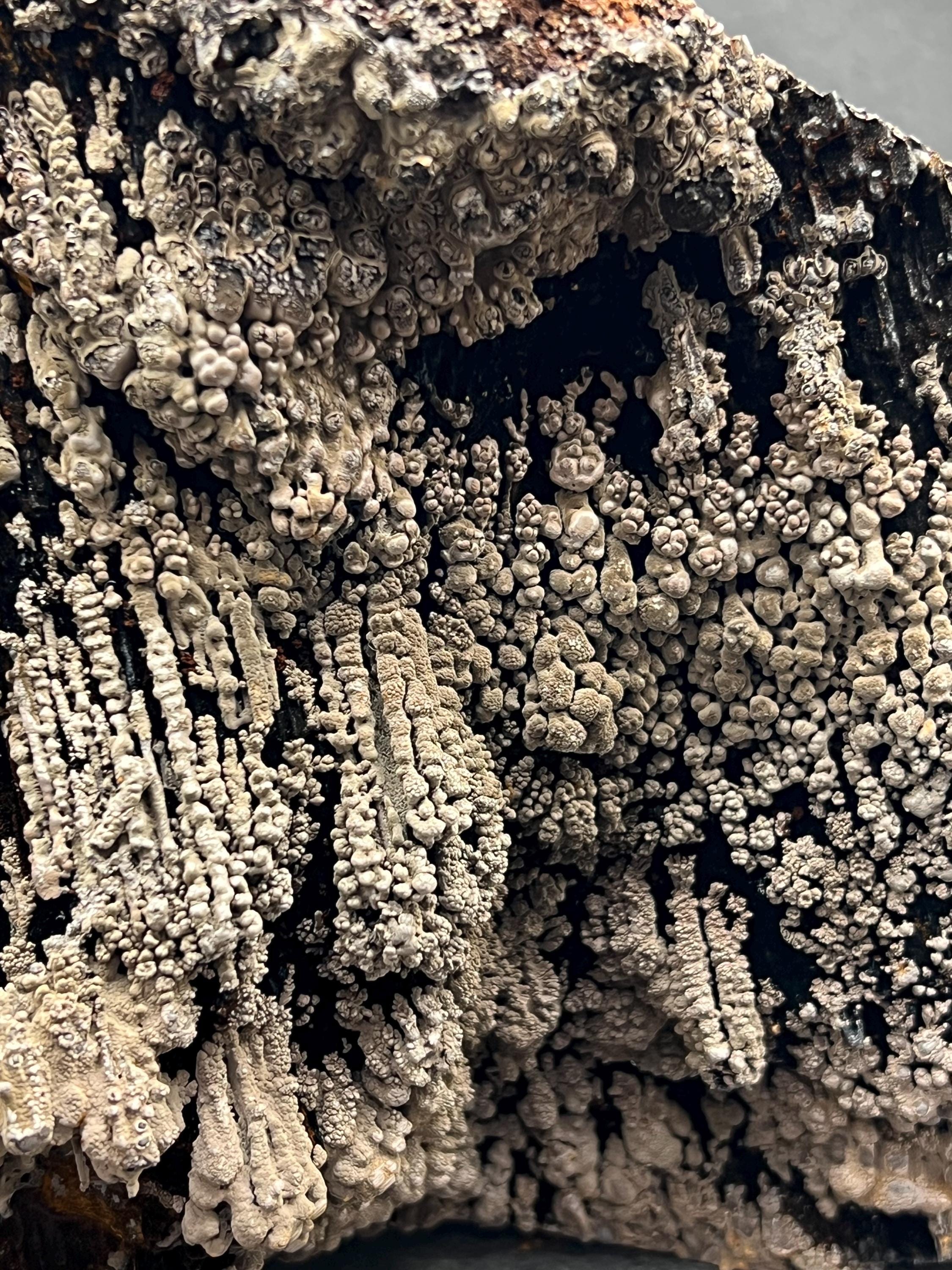 Specularite And Limonite With Stalactite Goethite - Crystal Gemstone AE 