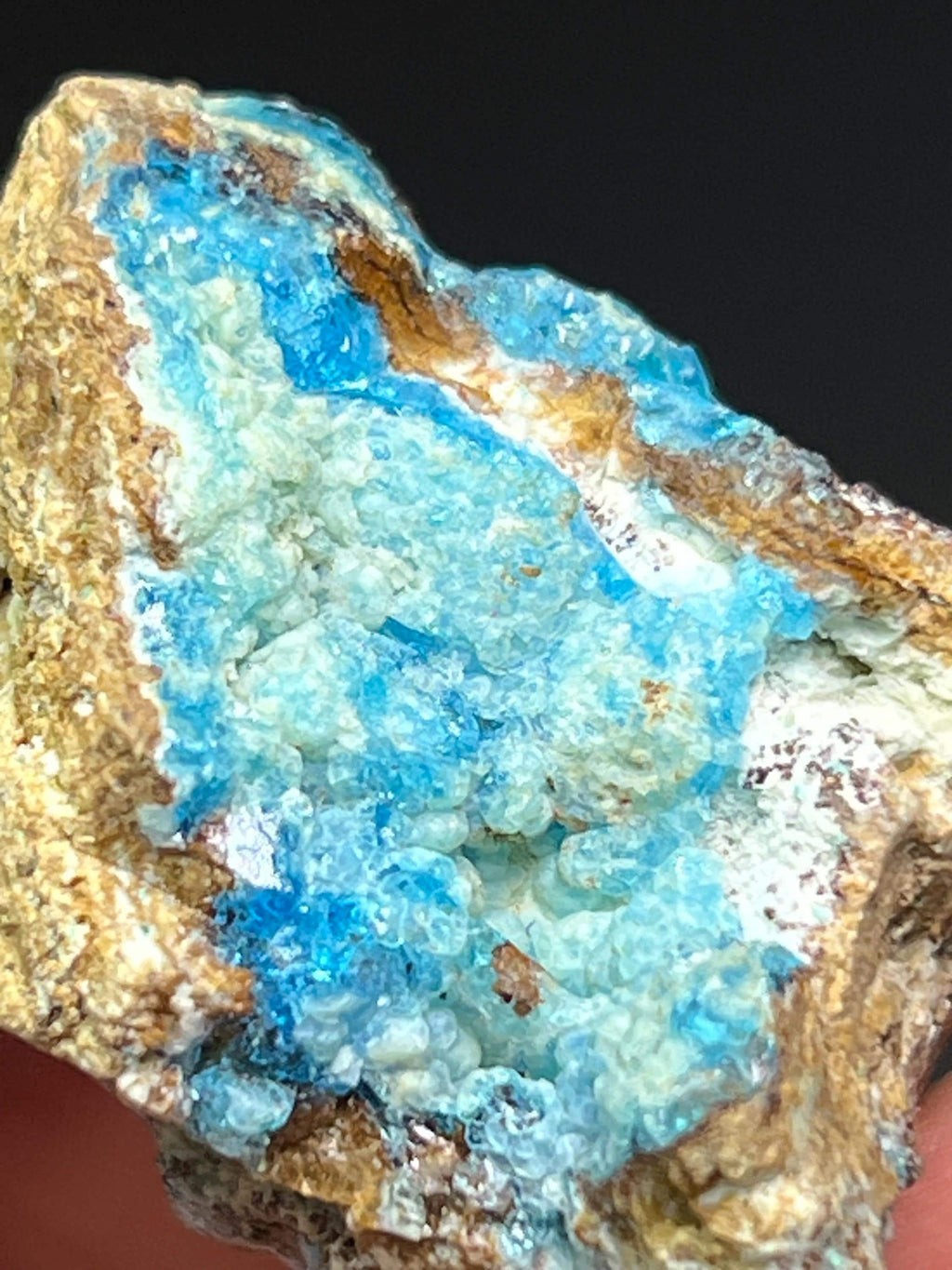 Blue Veszelyite Crystals on Botryoidal Hemimorphite - Crystal Gemstone AE 