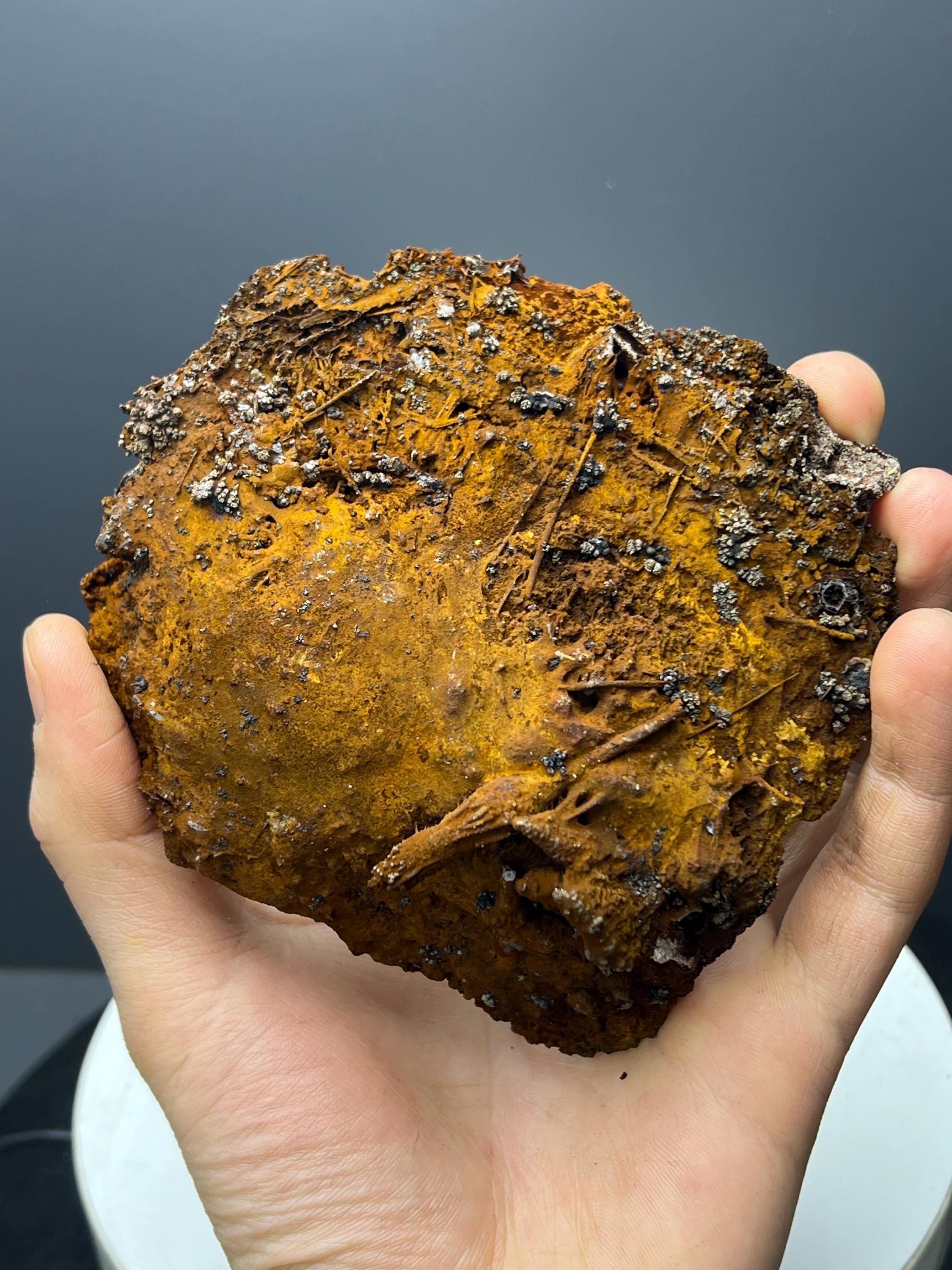 Museum Grade! Showy Limonite And Specularite With Stalactite Goethite Specimen - Crystal Gemstone AE 