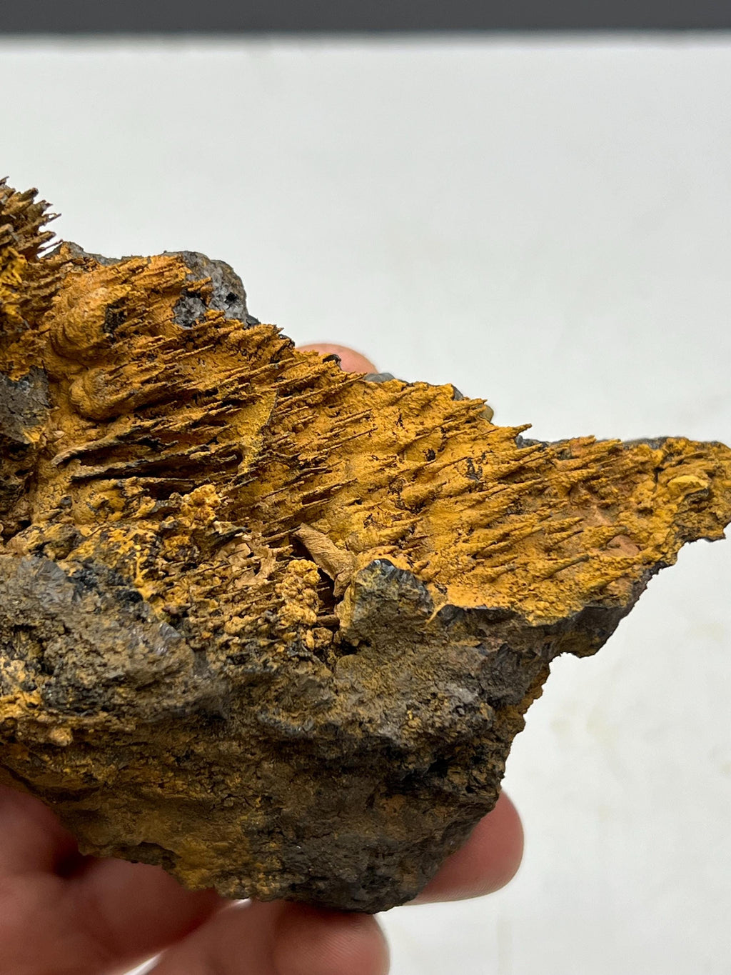 Museum quality, Very showy limonite on stalactite hematite, special collections piece - Crystal Gemstone AE 
