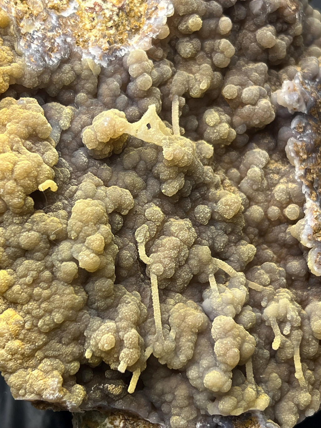 Botryoidal And Small Stalactite Formation Chalcedony Specimen - Crystal Gemstone AE 