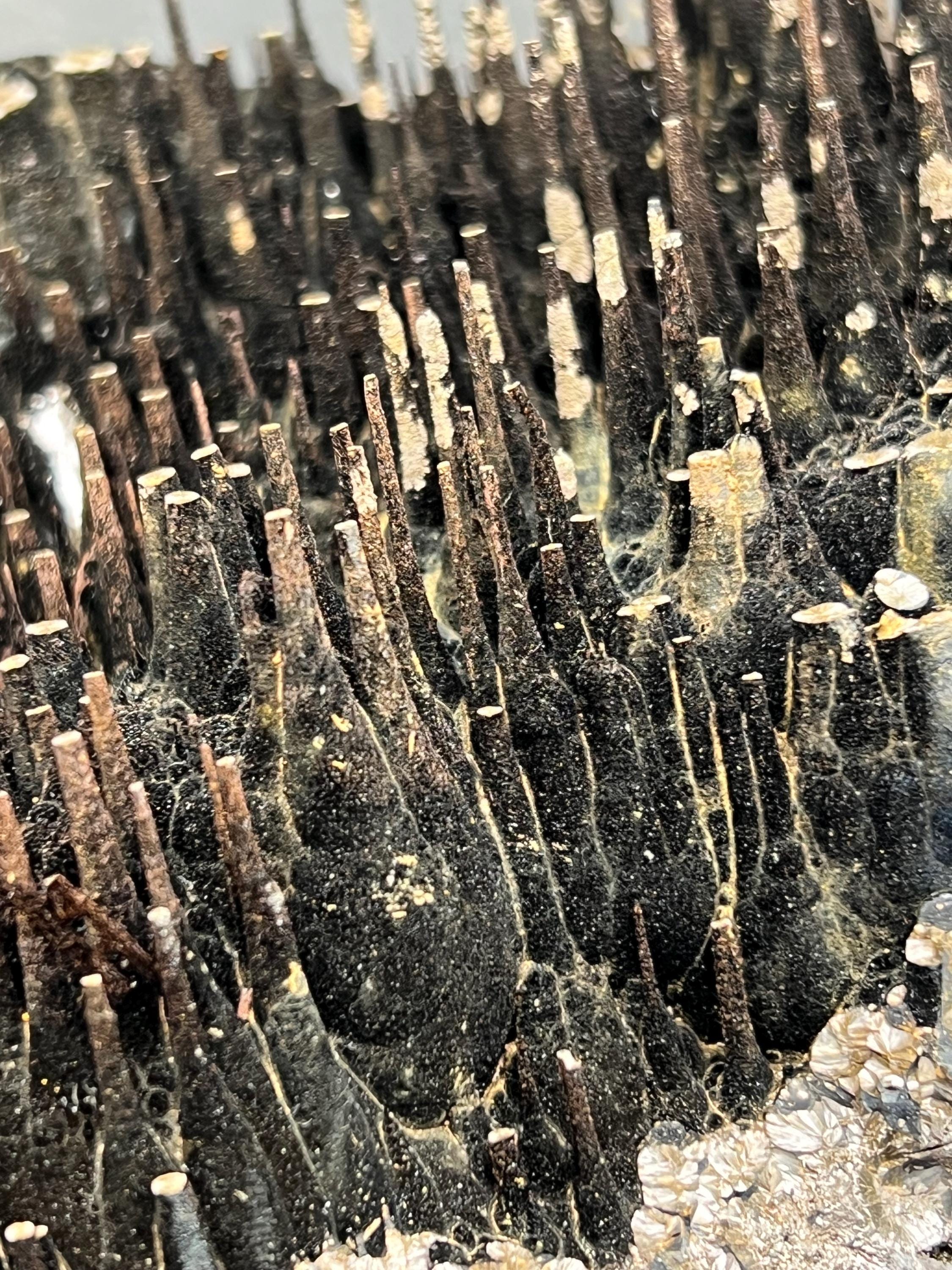 Museum Grade Limonite On Stalactite Goethite - Crystal Gemstone AE 