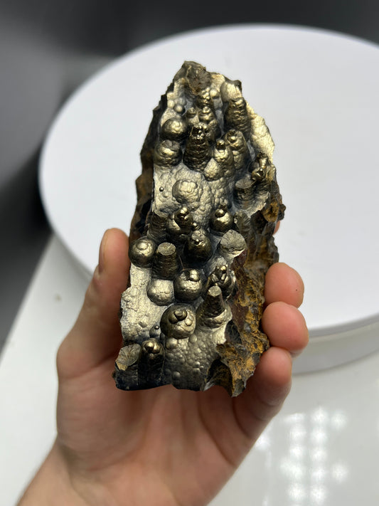 Museum Quality! Golden Color Botryoidal and Stalactite Hematite🔥