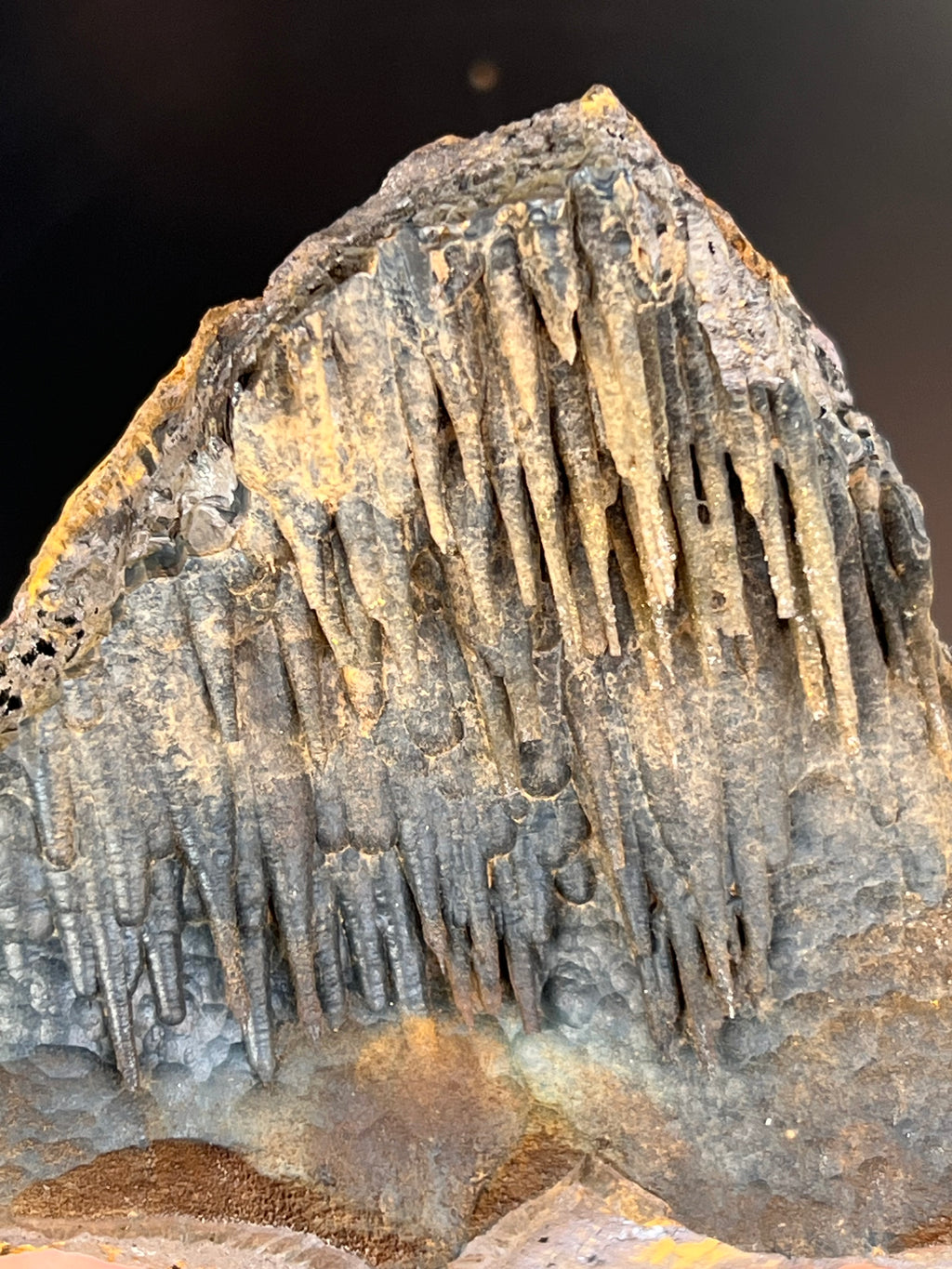 Museum Grade Limonite With Stalactite Goethite