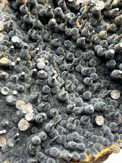 Museum Quality! Velvet Function Stalactite Hematite🖤