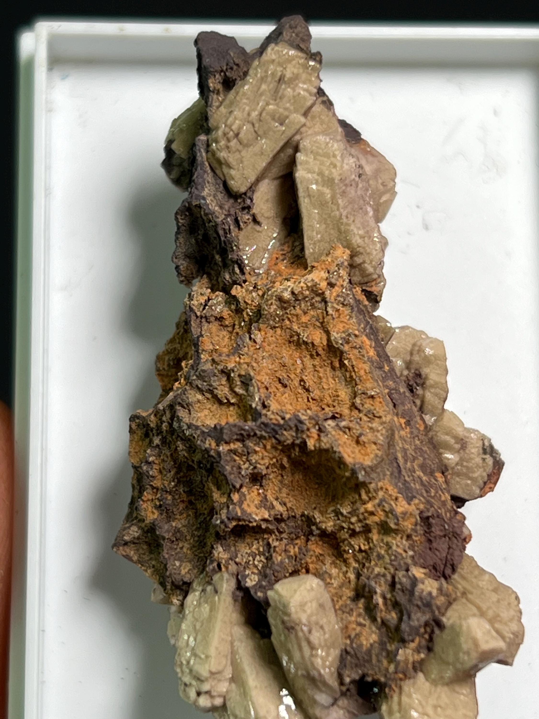 Very Rare And Unique Poldervaartite Specimen - Crystal Gemstone AE 